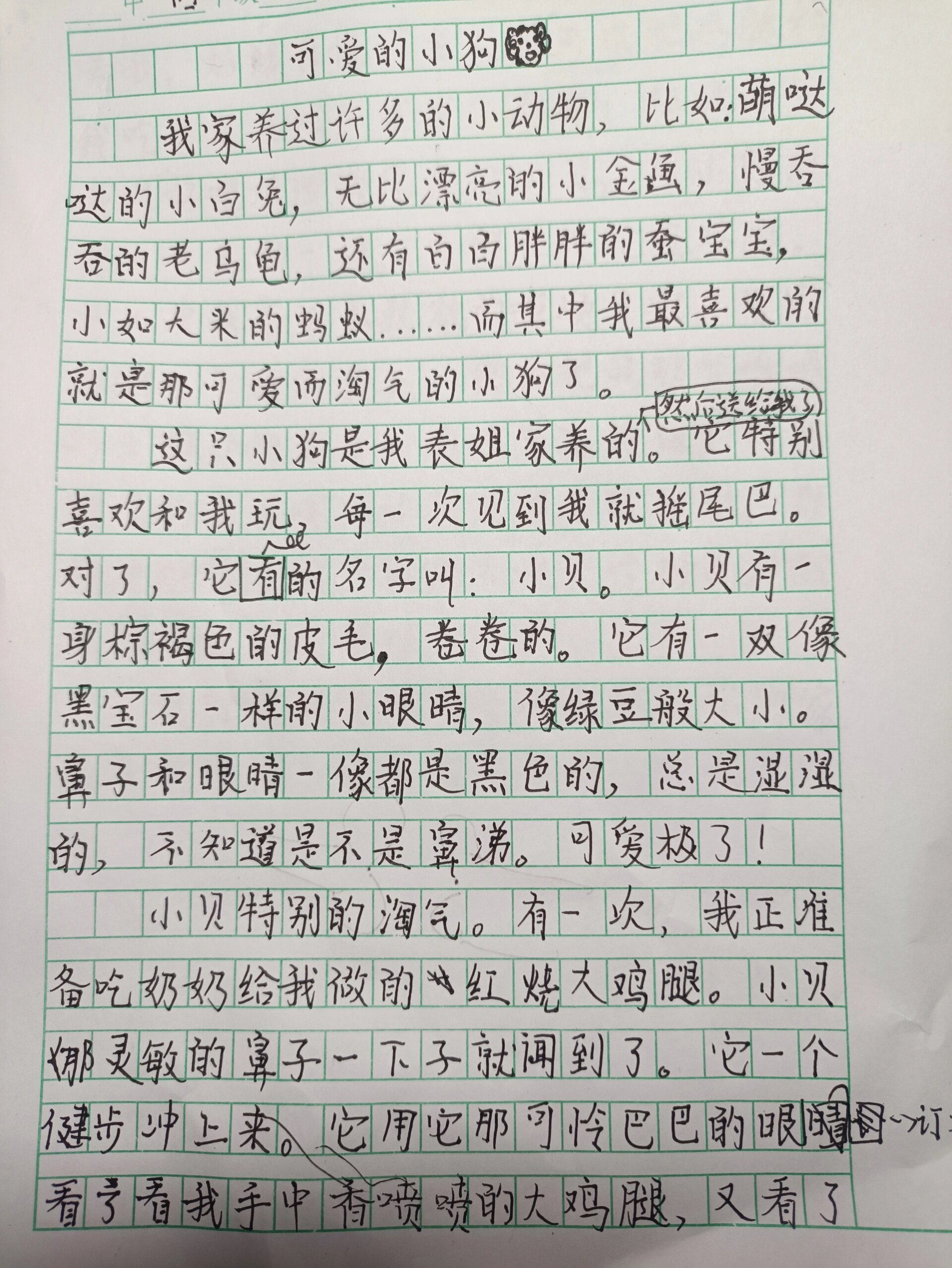 小狗的作文图片