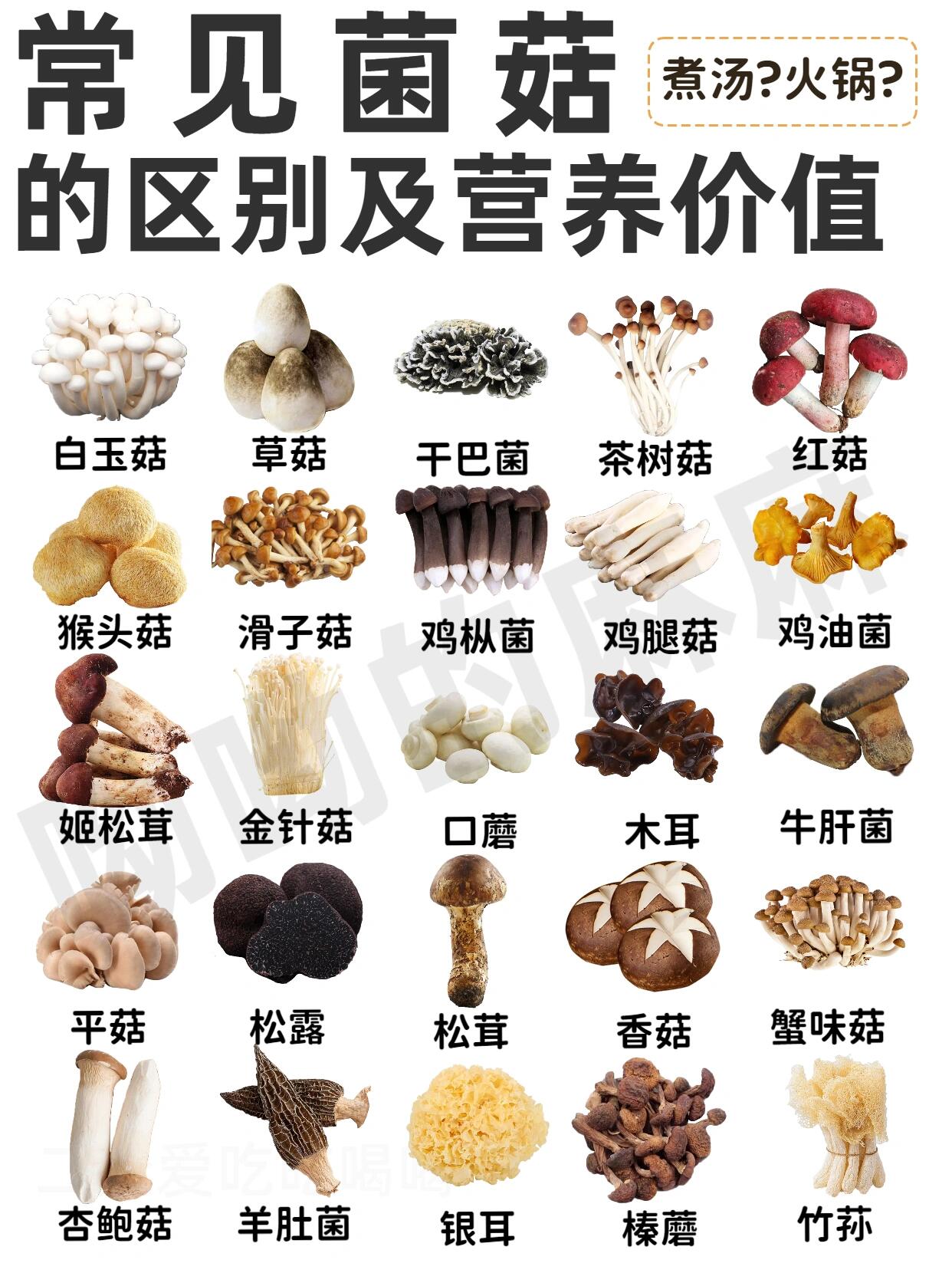 25种菌菇的区别及营养价值96一次讲清楚!