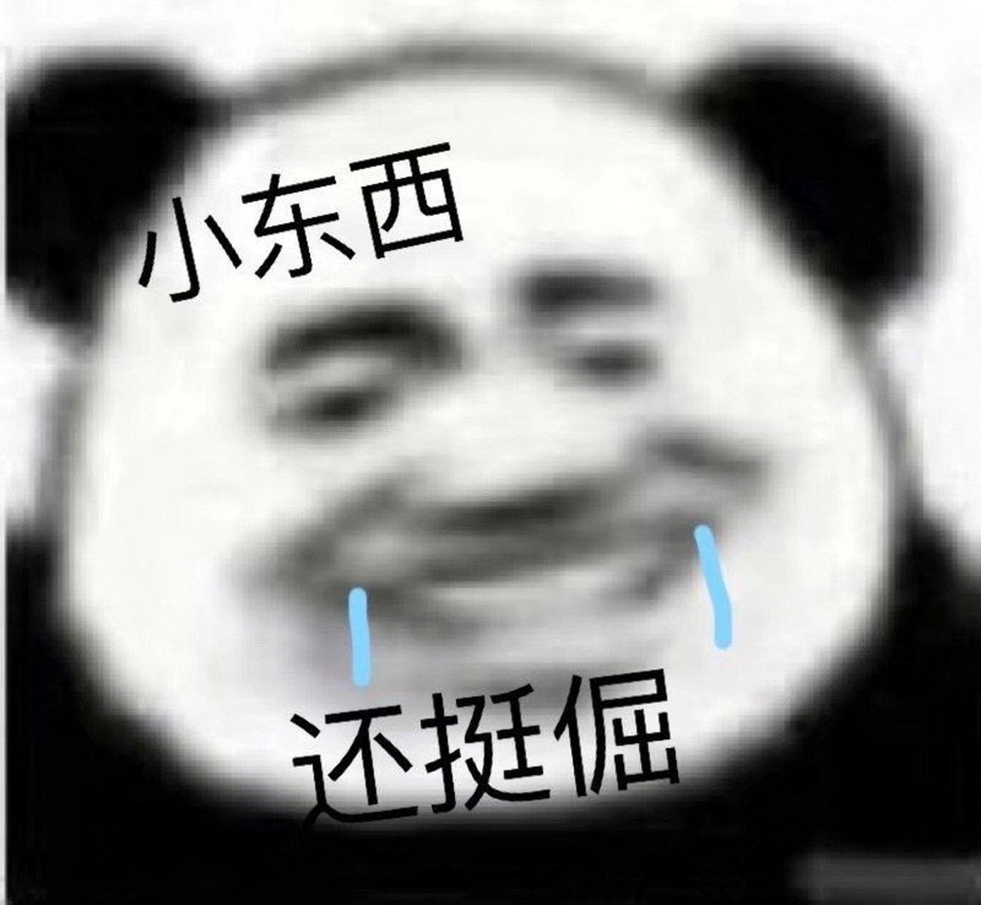 这组熊猫头表情包太好用了!   #教育原创星选榜##一起读书吧