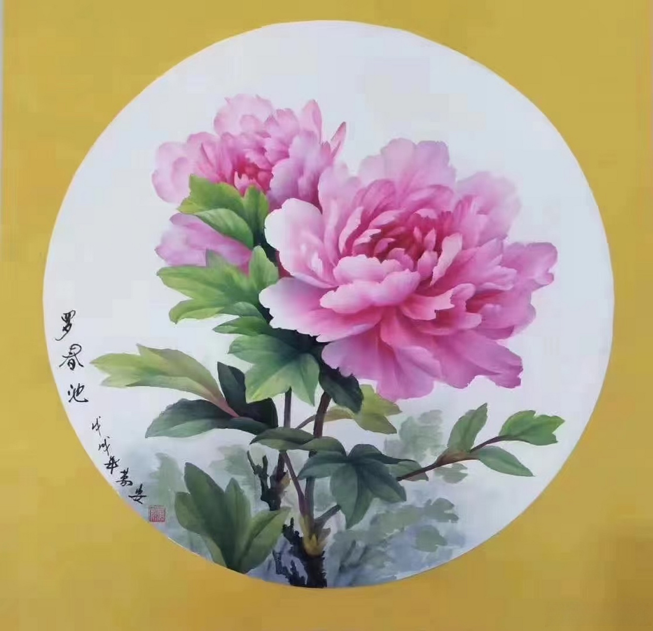 万安院长没骨牡丹作品直径38圆卡#国画##书画