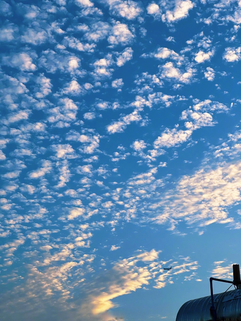 7月14日下午,广州天空出现大片鱼鳞云,许多的云块如同鱼鳞一样,椰片