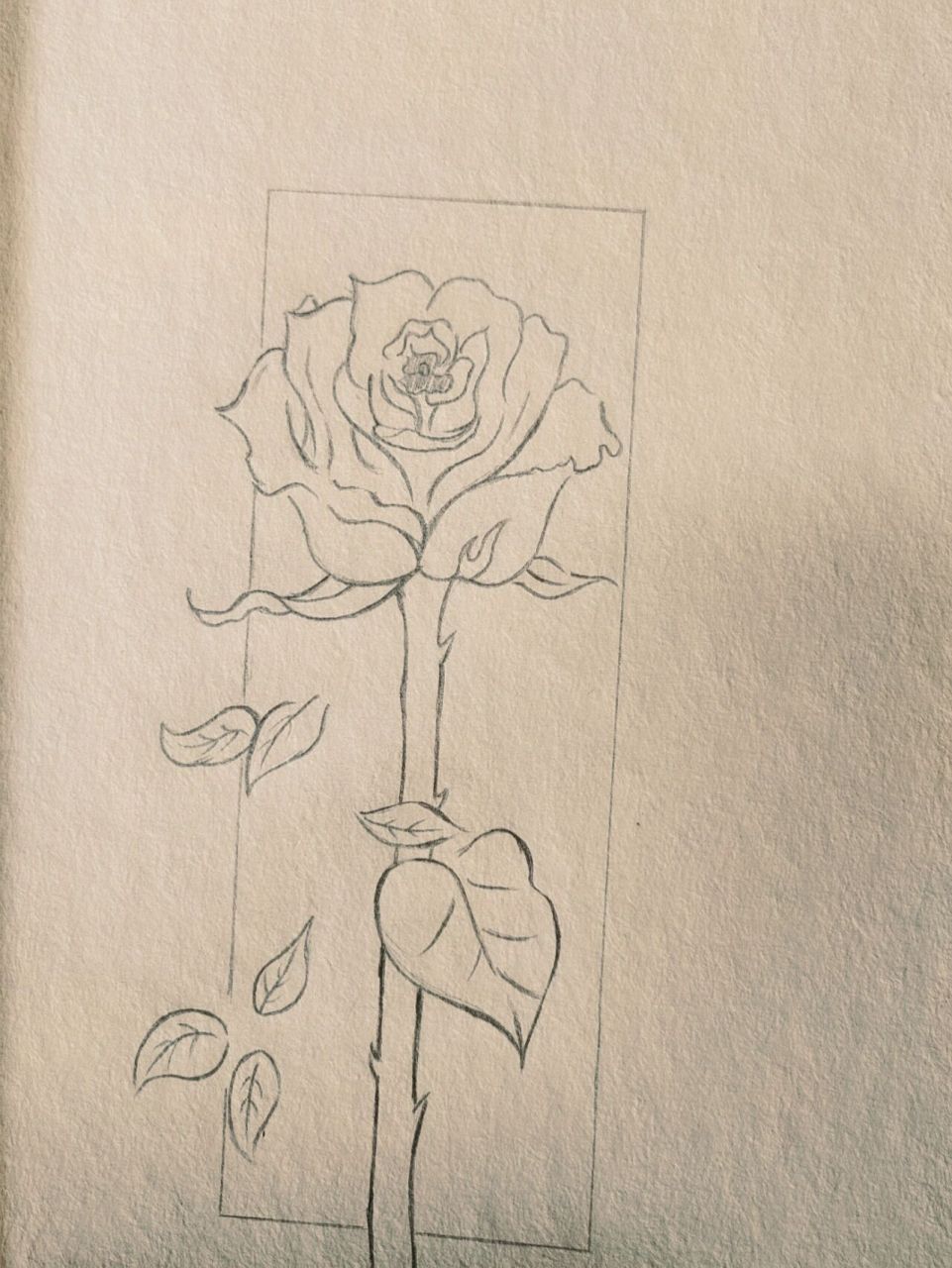 玫瑰花简笔画 附过程 最近很累 送自己一朵花吧