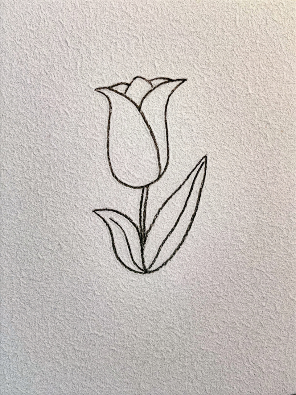 郁金香简笔画 世间荒芜,浪漫不死93 郁金香的四种画法