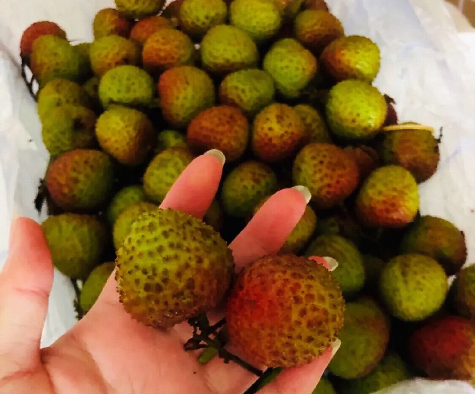 珠海十大特产 1,黄皮干 珠海本地水果黄皮制成的果干,酸甜可口,生津