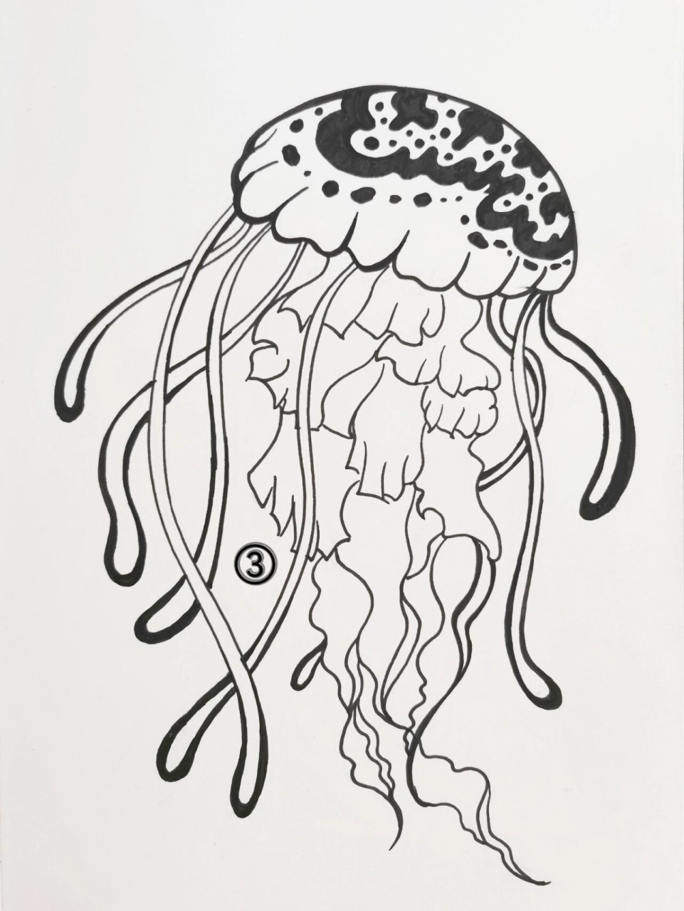 线描装饰画丨水母丨附步骤 ①草稿,先用铅笔画出伞形的身体,再画长长