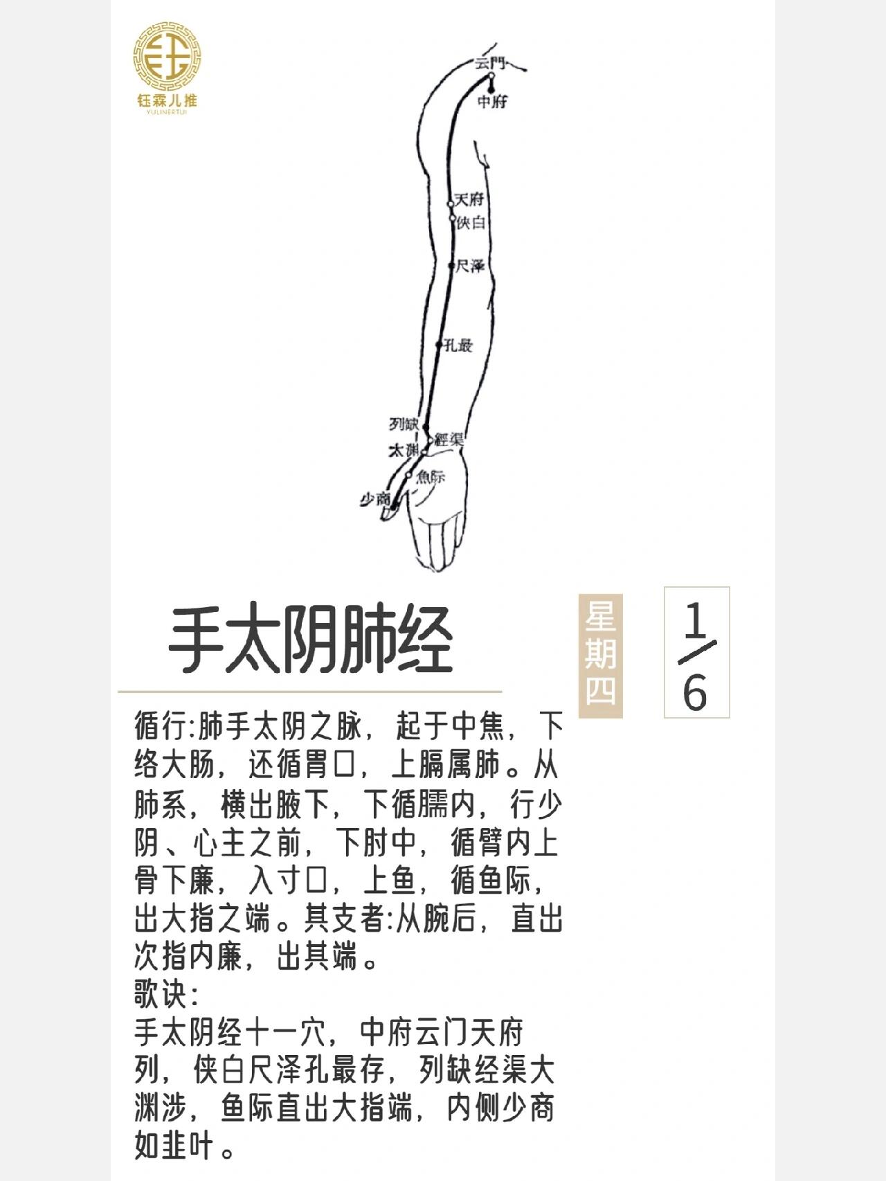 养生要学|手太阴肺经