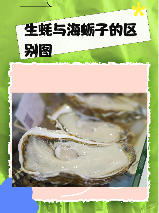 生蚝与海蛎子的区别图 我可以尝试用文字来解释它们之间的区别.