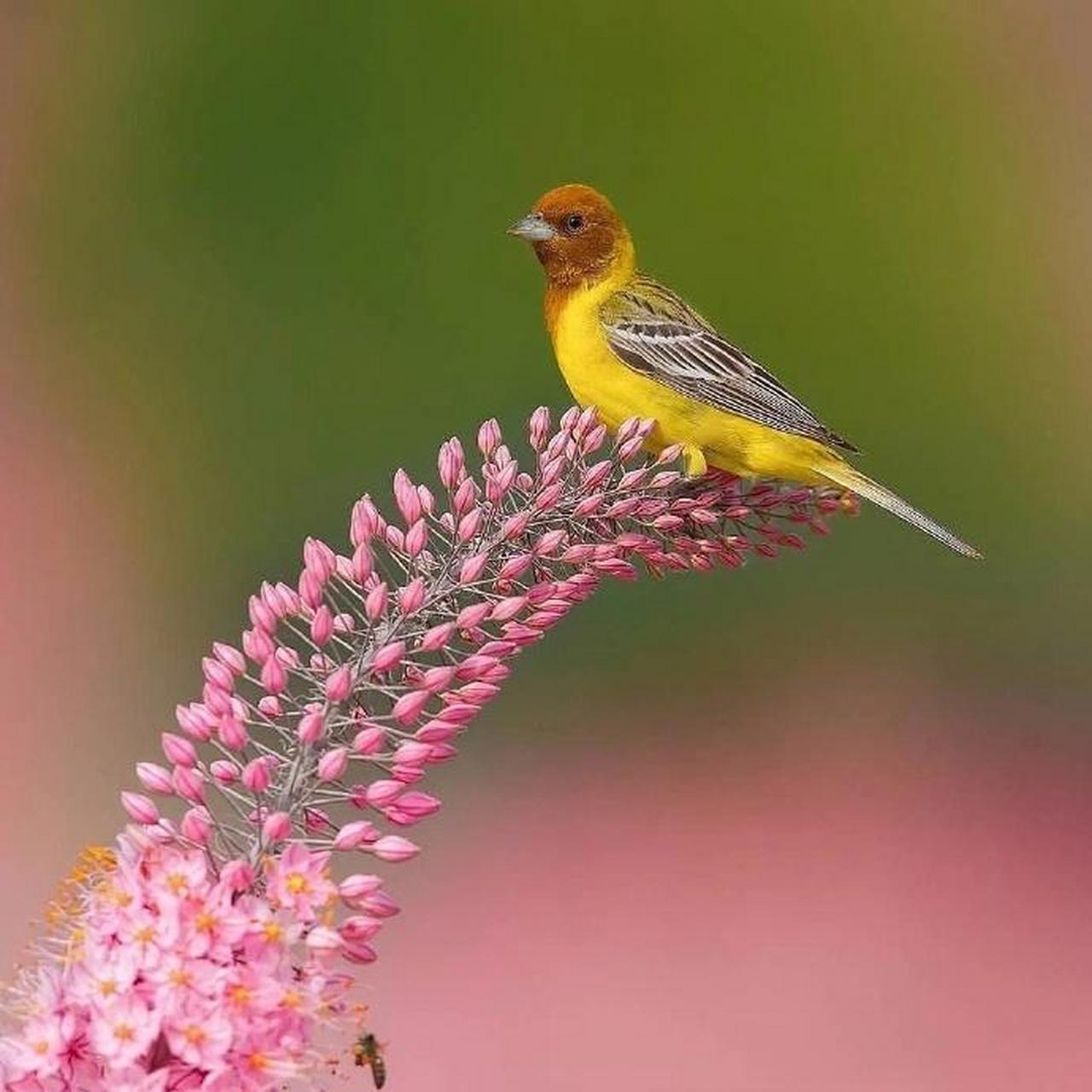 解自己的一个好方法是:认真反思别人身上令你讨厌的一切东西.