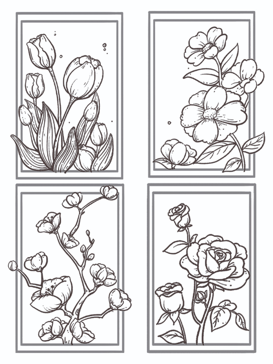 小白学插画|93植物花卉线稿练习四宫格   整理了一下自己在插画新手