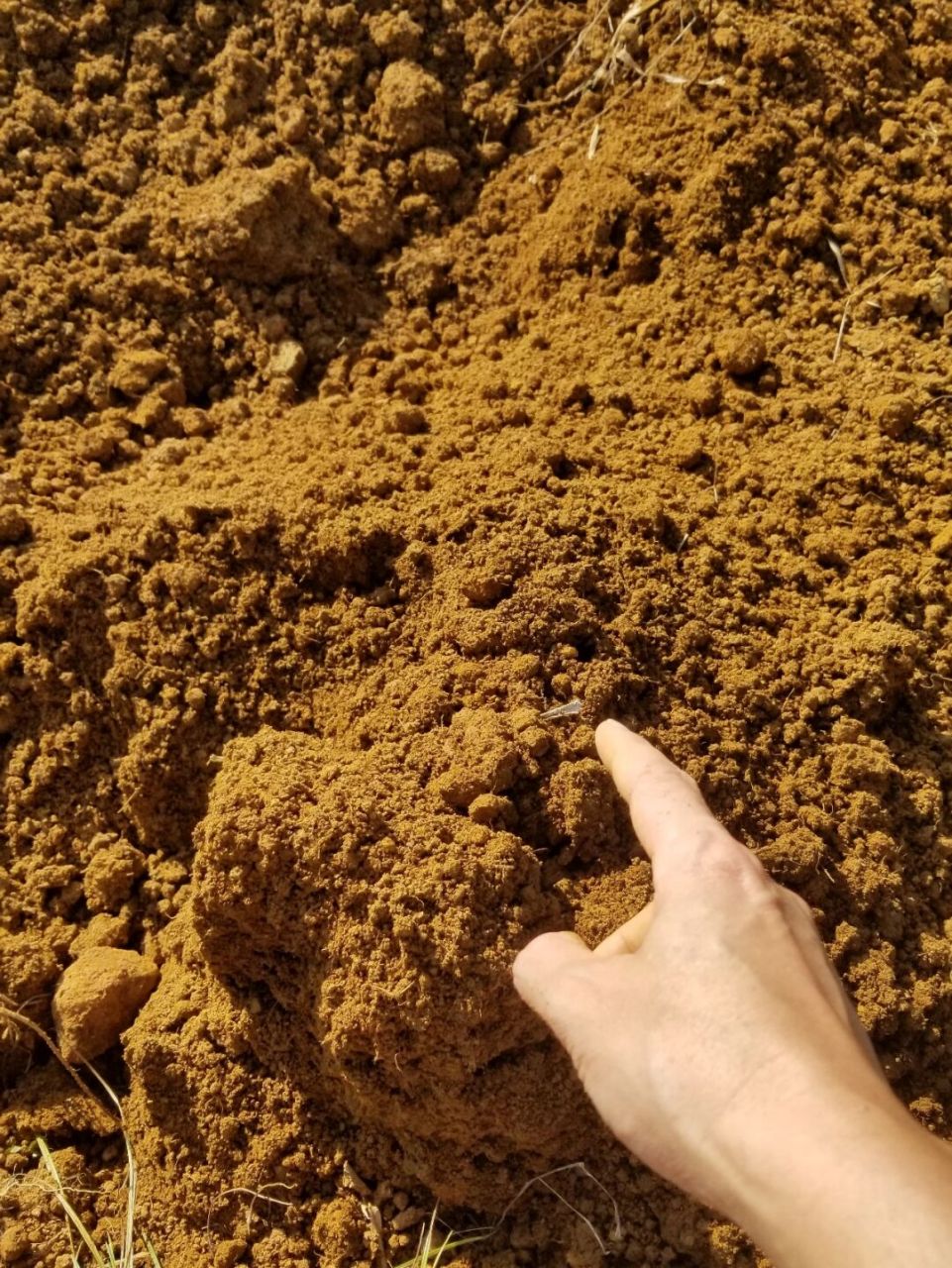 酸性土壤,适合所有喜酸性花卉植物生长.