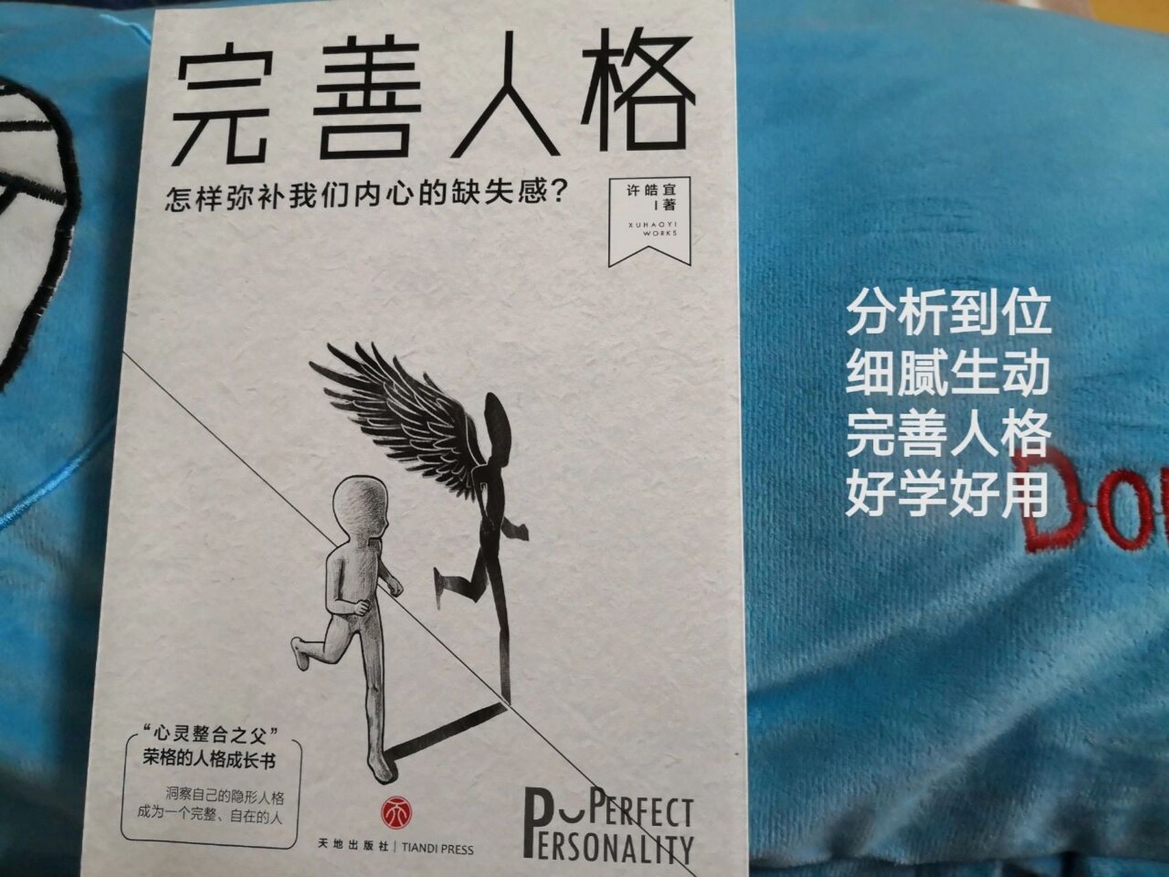 《完善人格》. 当初看到这个书的介绍就决定入手了.