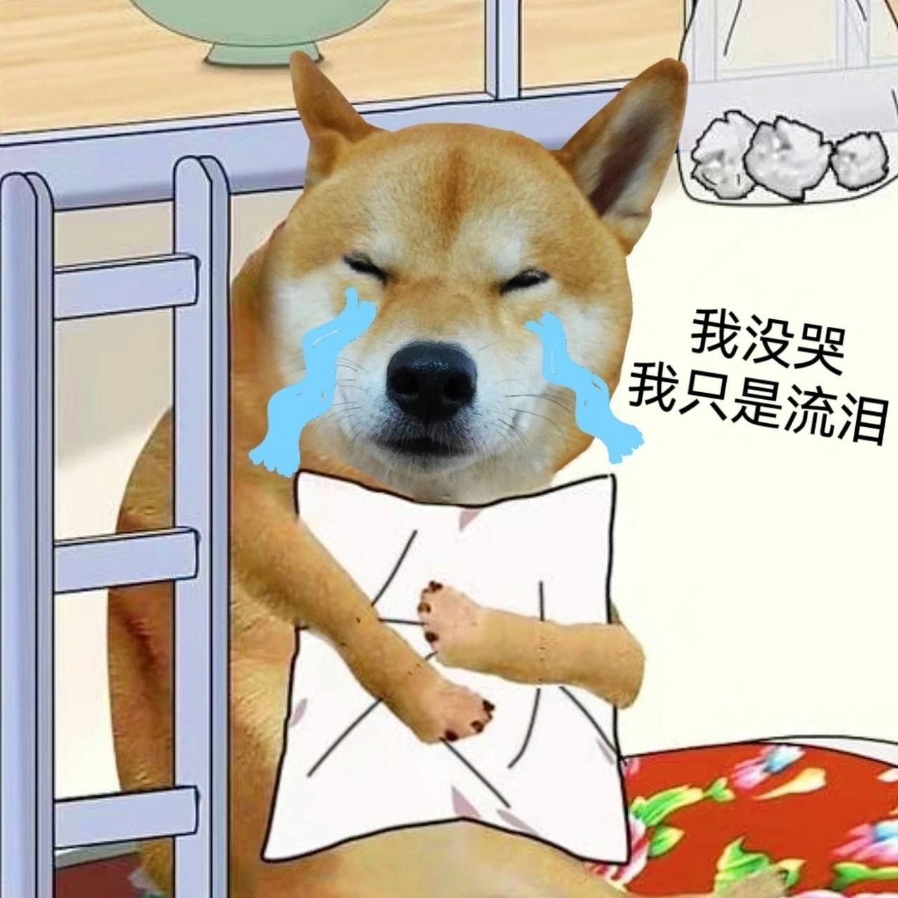 柴犬哭泣表情包