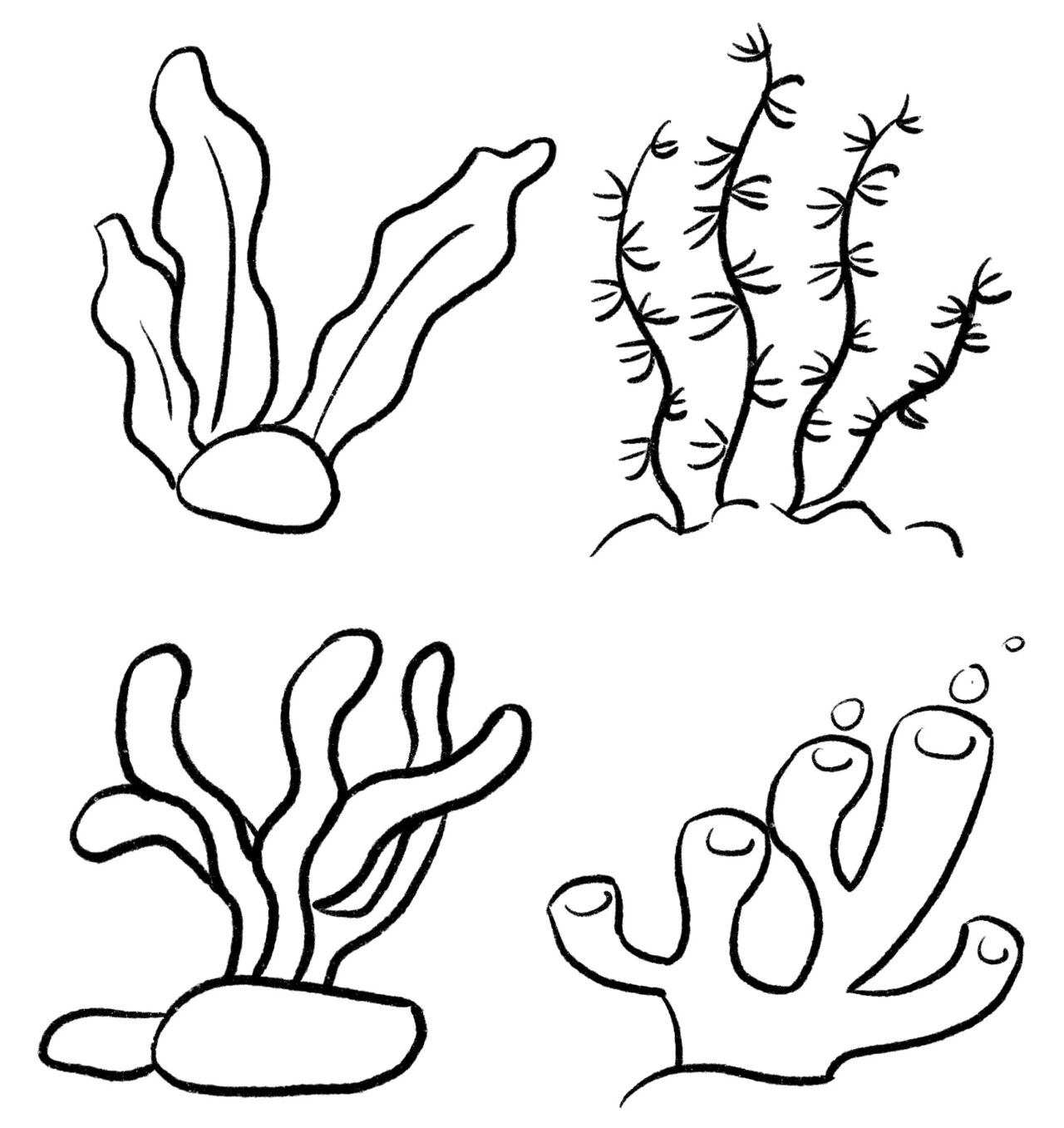 海底世界植物简笔画图片