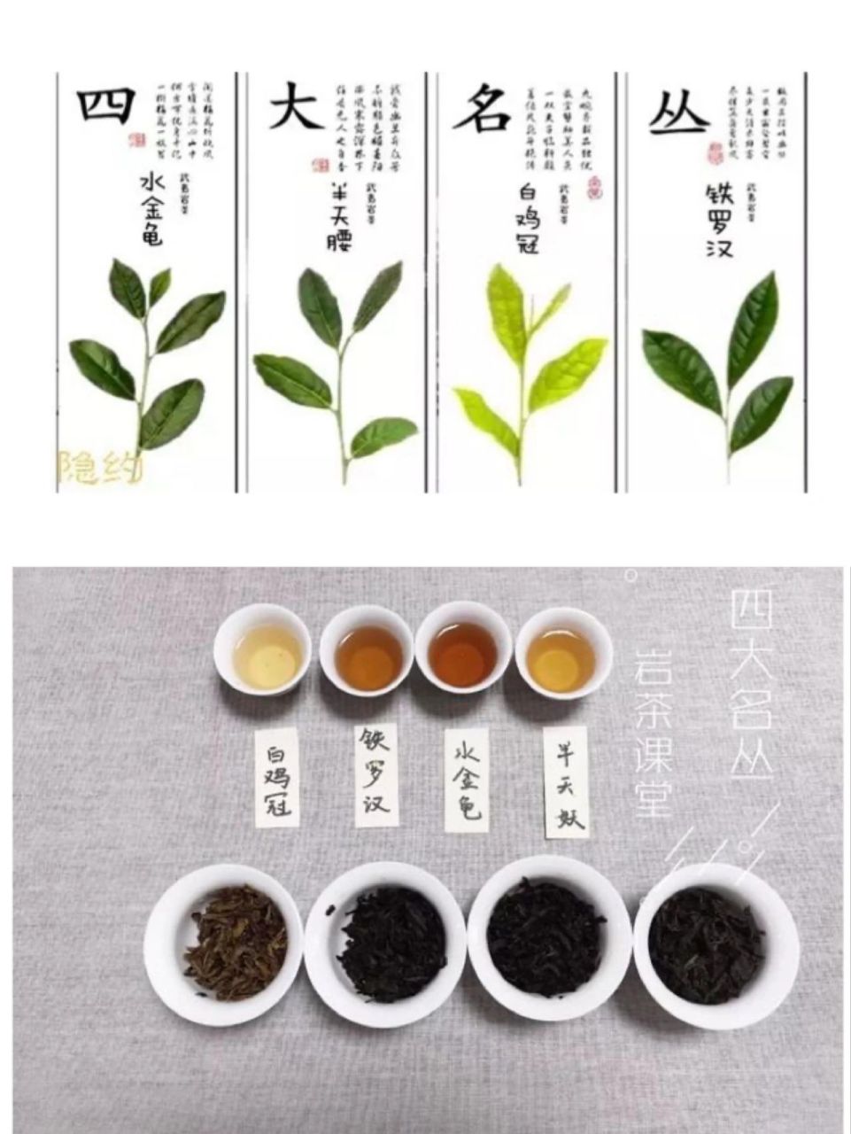 名枞95 95大红袍:为武夷岩茶四大名枞之首,素有"茶中之王"的美誉