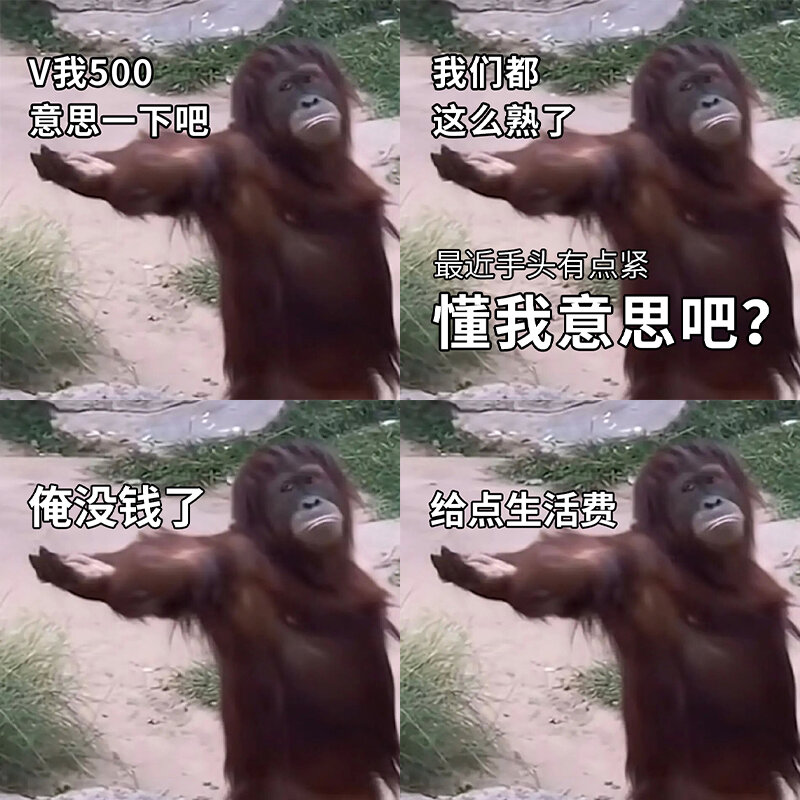 猩猩要钱/拿来/要生活费表情包98