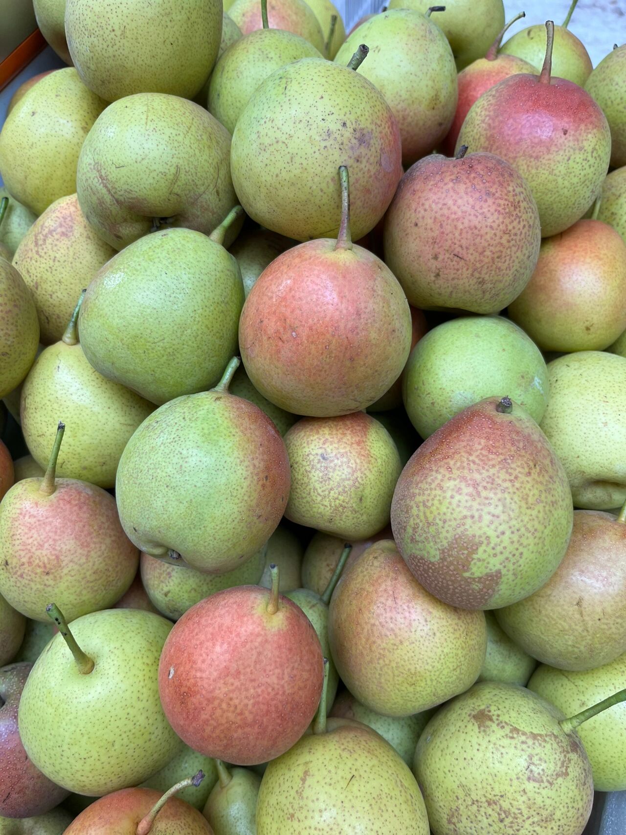 这个云南火把梨真好吃😋 🍎两块钱买了两个梨,好像是五块钱一斤