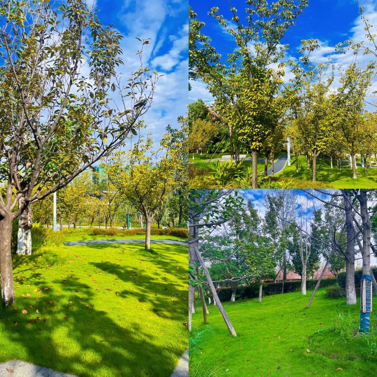 又发现一宝藏公园|铁佛公园 99:铁佛公园 99: 武侯区-福锦路1段