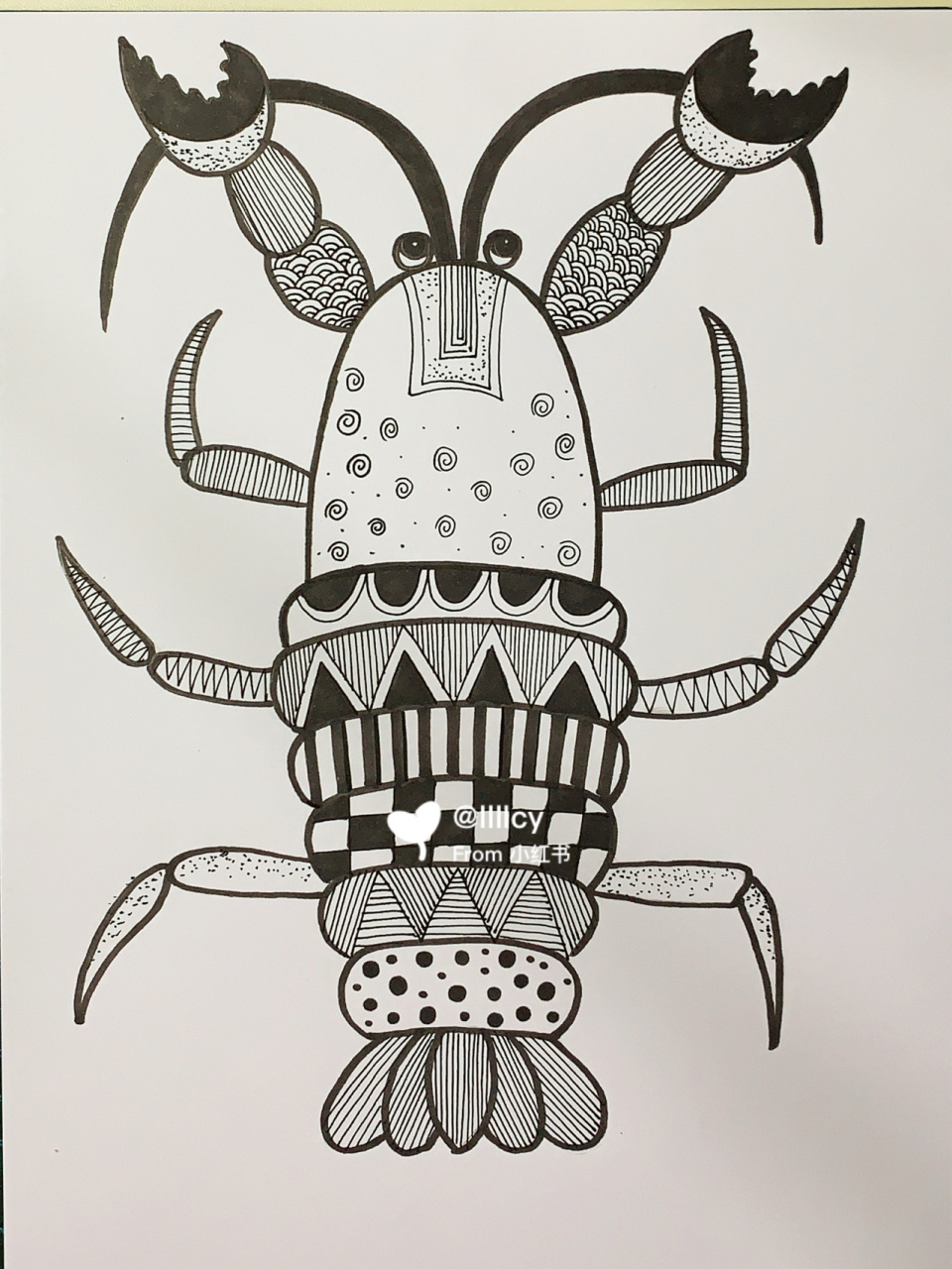 线描龙虾02 #线描