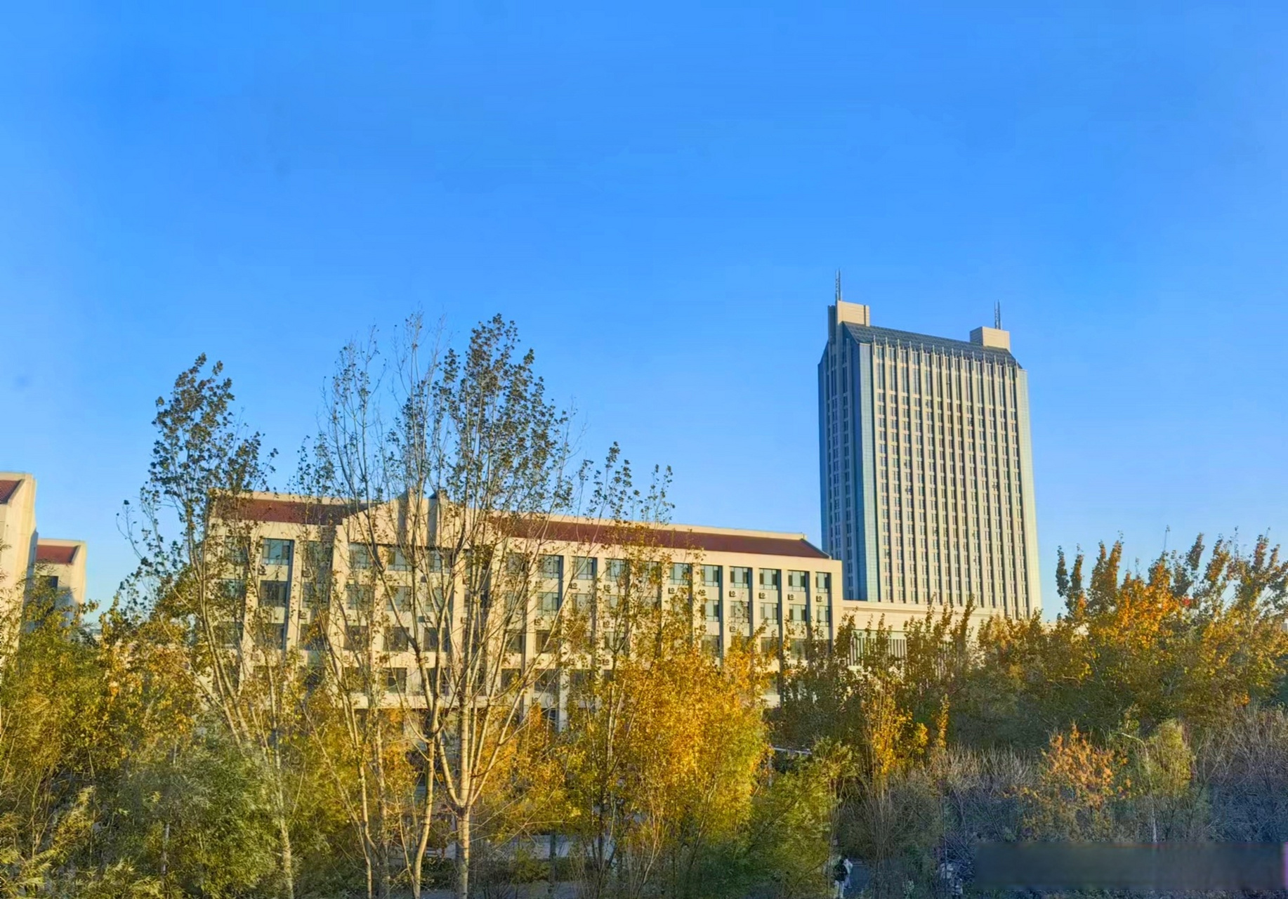 校园随手拍# #滨职剪影##滨州职业学院#  少年自有少年狂,心向骄阳