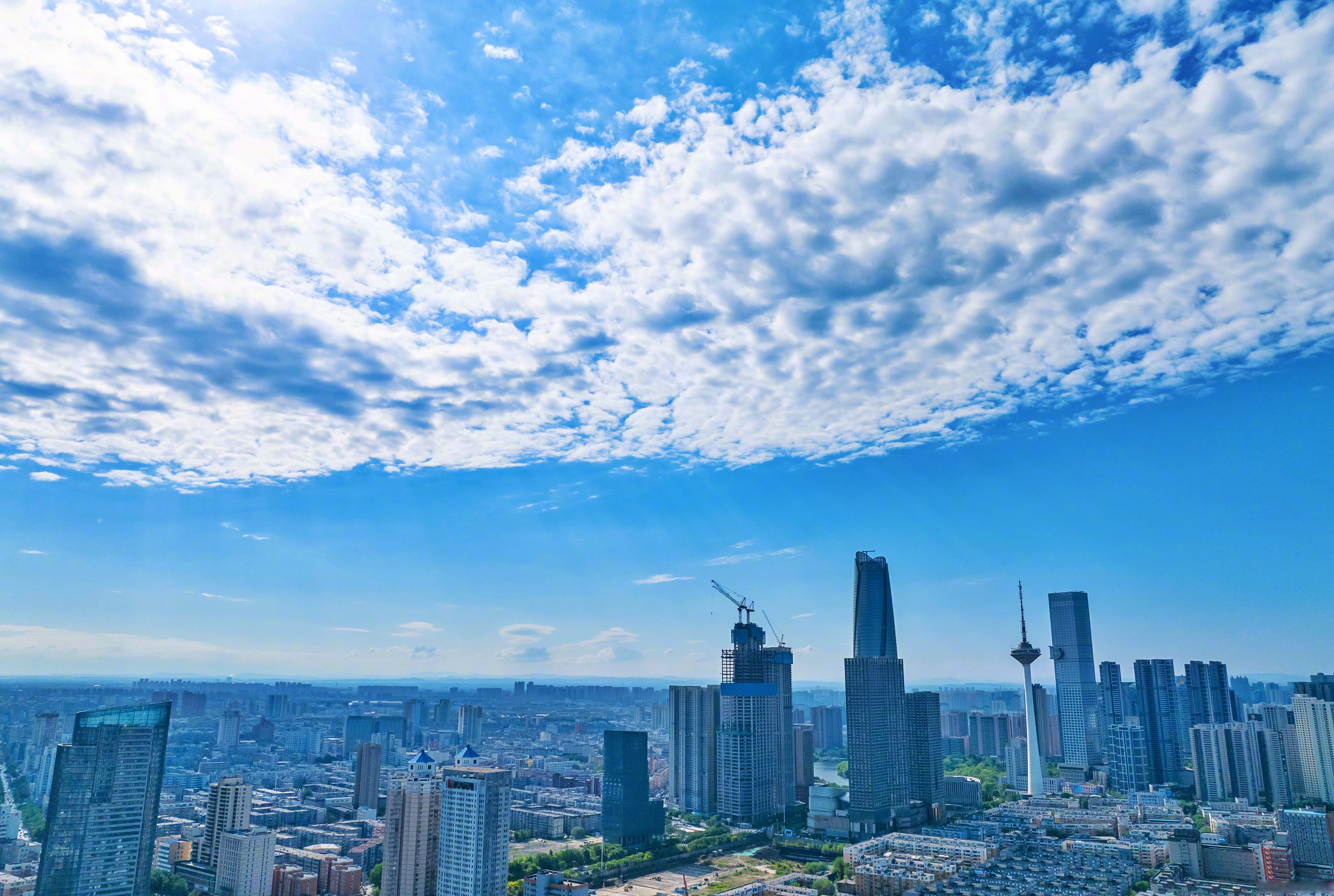 沈丘天气天气大全