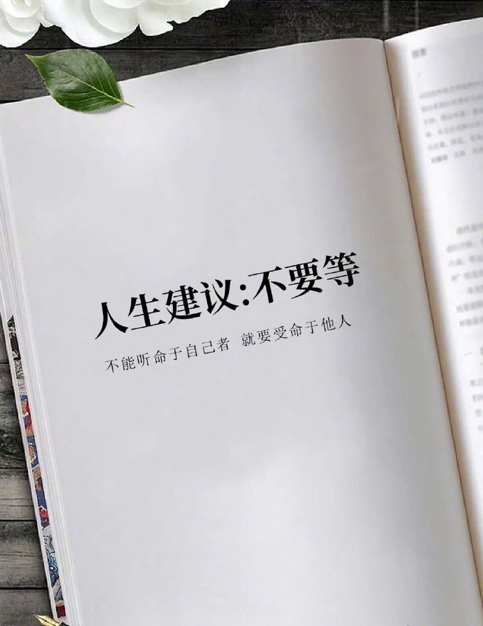 人生建议: 不要等  [并不简单]