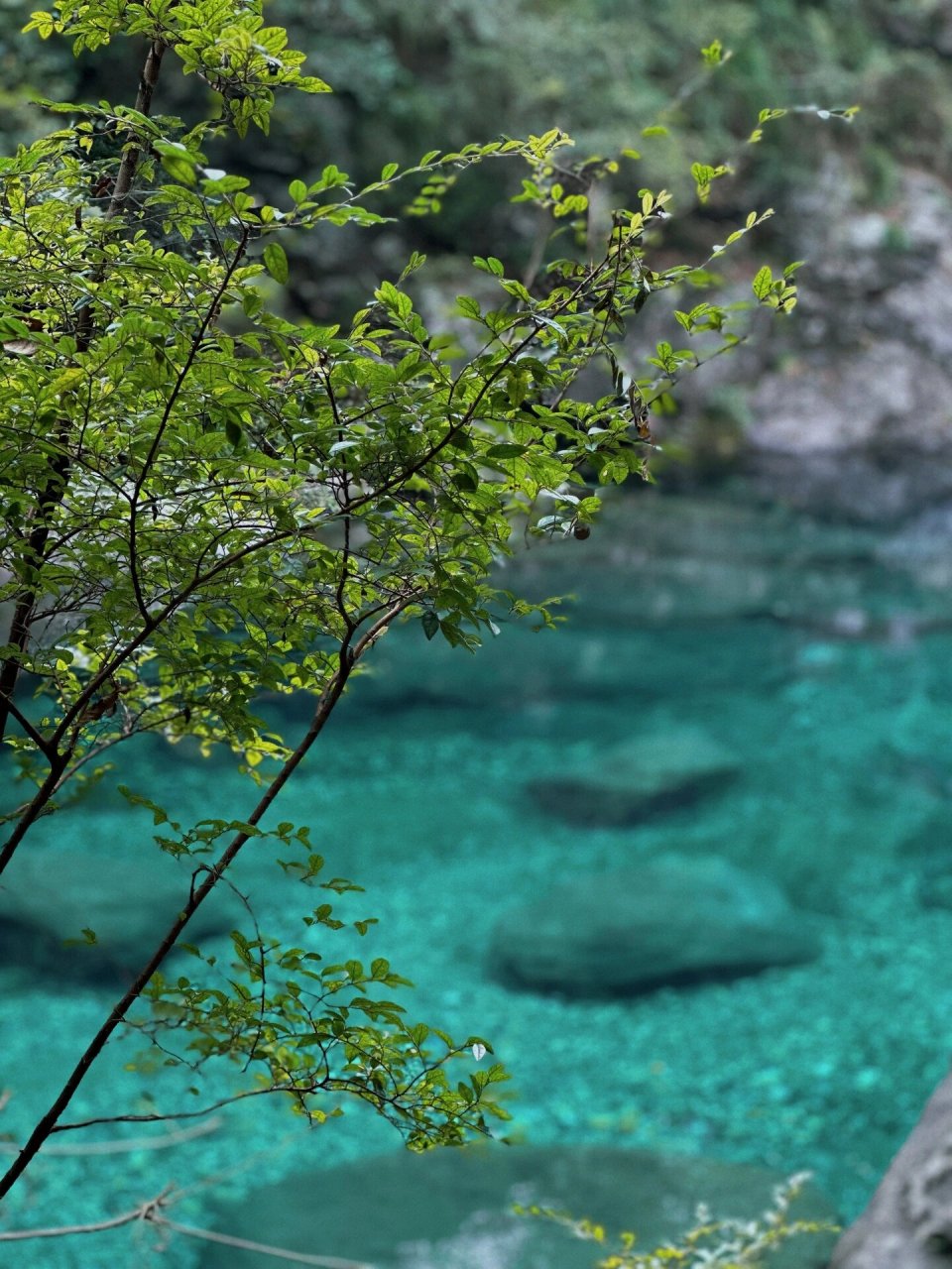 皖南牯牛降风景区图片