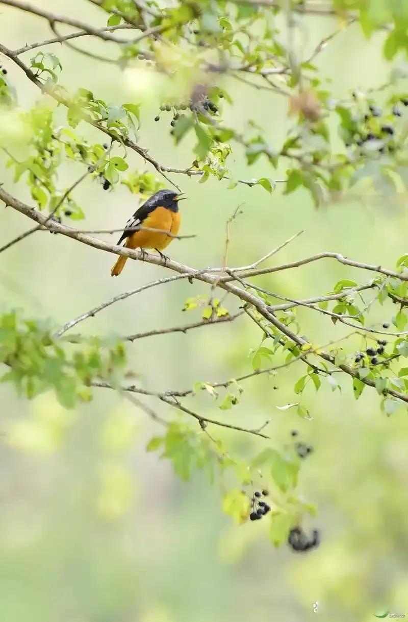 上联:水上千舟渡,诚邀下联