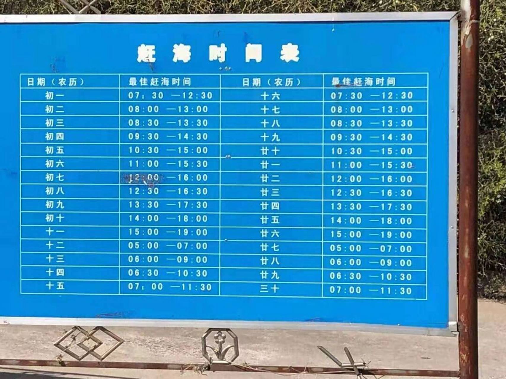 青岛潮汐表赶海时间表【建议收藏】 你喜欢赶海吗?