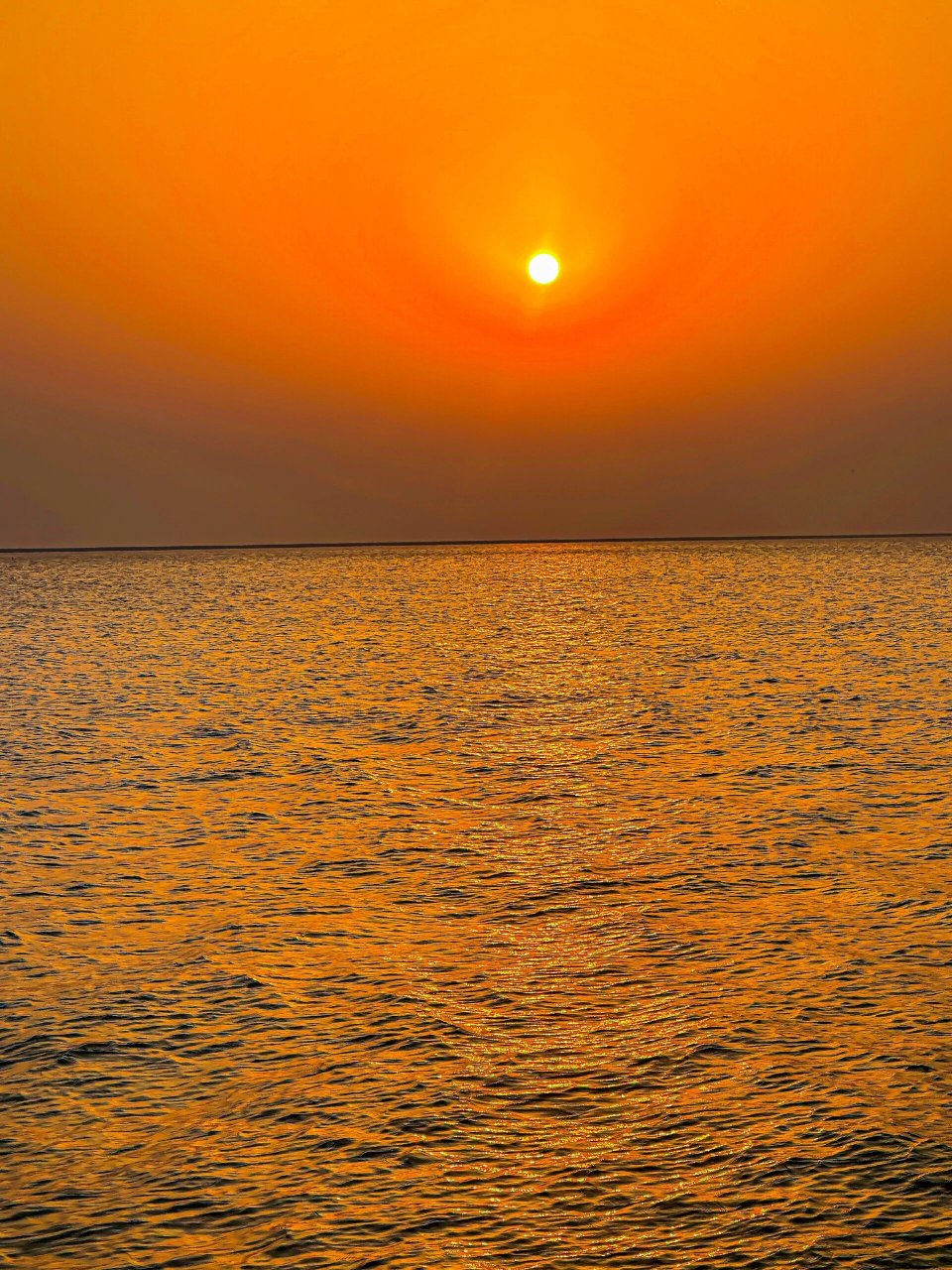 太阳每天照样升起 日出真的是可以治愈一段时间的焦虑 捕捉到橙色的海