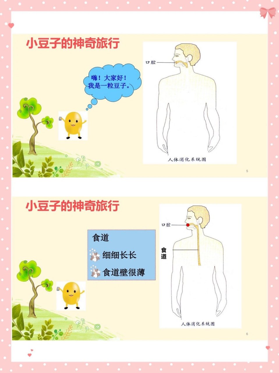 幼儿园一等奖公开课|大班健康《食物旅行记》 97今天给大家分享一节