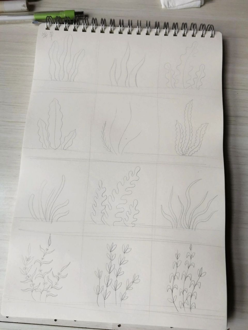 缠绕海草简笔画图片