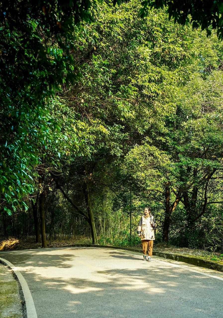 爬山日记3|重庆主城最冷门小山 好适合幽会   	 只要天气好,老蓓的