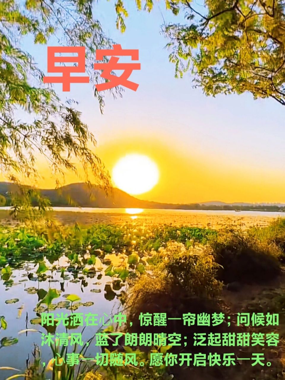 朋友圈早安问候文案图片 阳光洒在92中,惊醒92帘幽梦;问候如沐