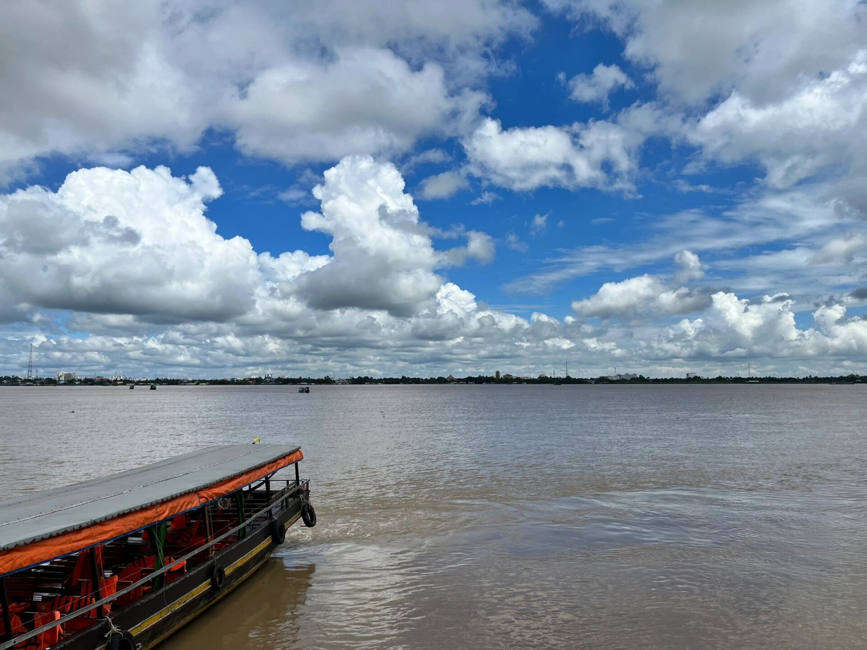 胡志明湄公河一日游 报的飞99上的团,85rmb,8点从胡志明市区出发,4