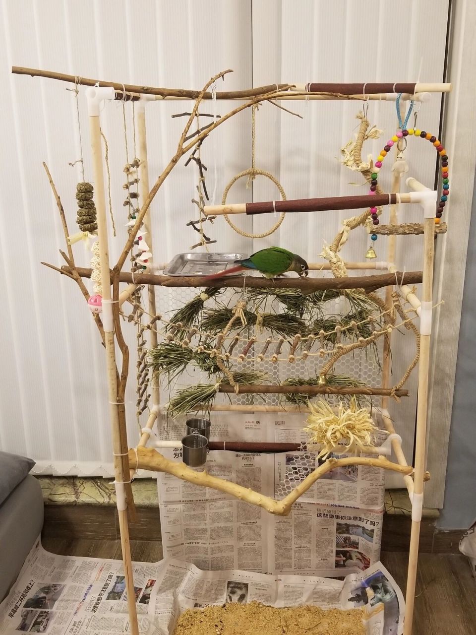 总成本不超过15元的鹦鹉站架游乐场diy 某刀刀软件7.