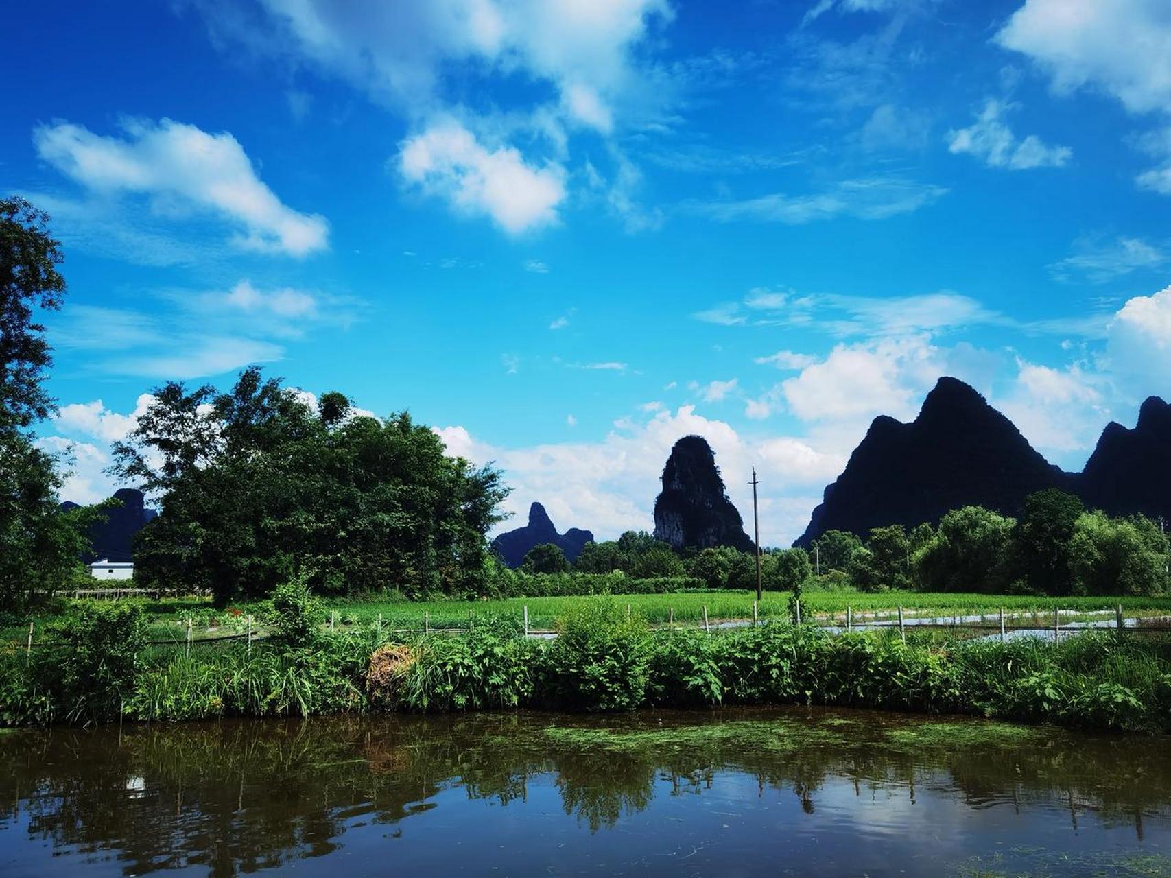 杨垂风舞飞檐丽, 鸭戏波萦动水柔. 怡景良辰思远虑, 青丝离者念新愁.