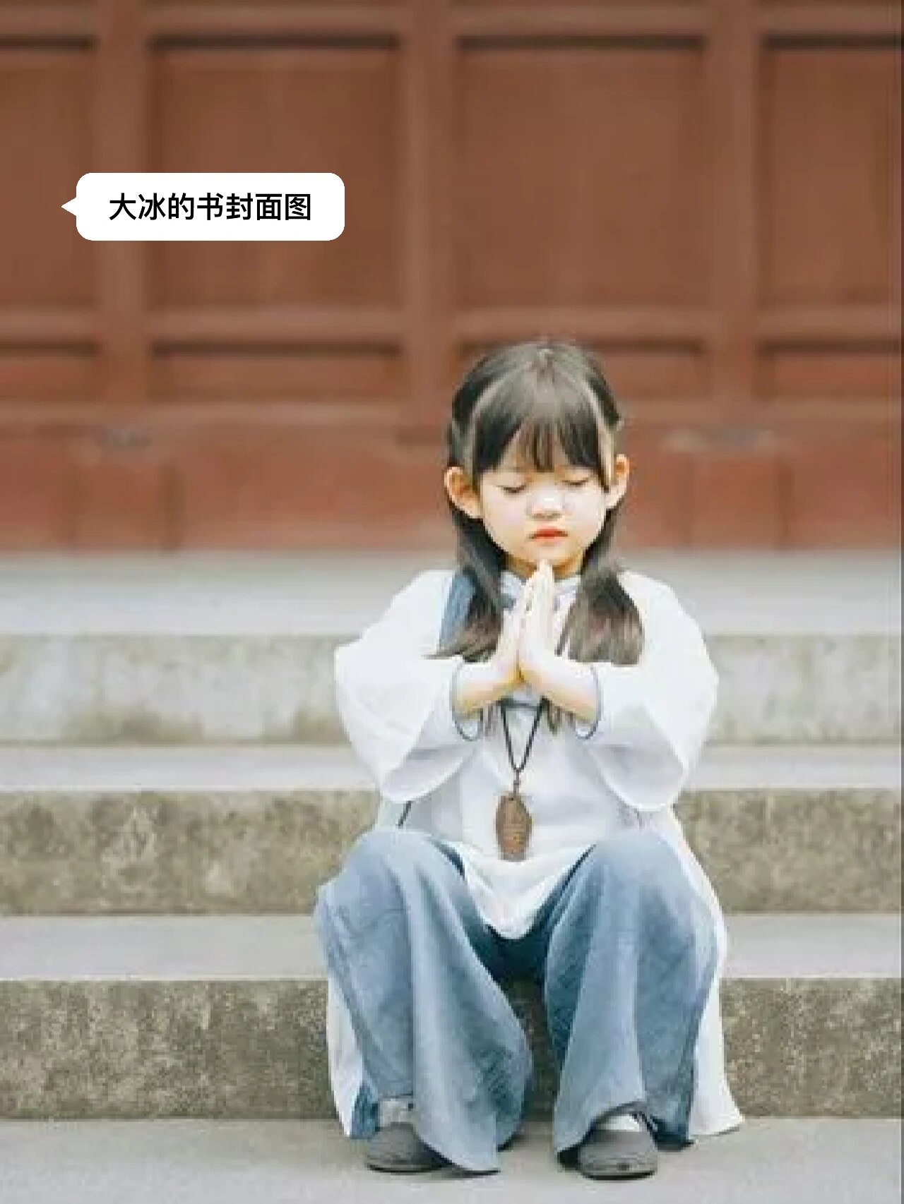 谈谈我对大冰的书的看法
