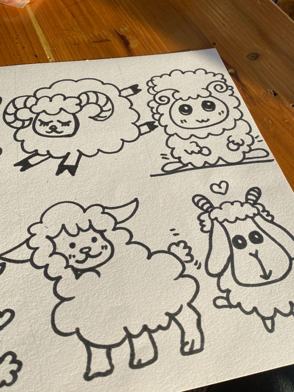 动物简笔画|小羊咩咩 临摹的第三天