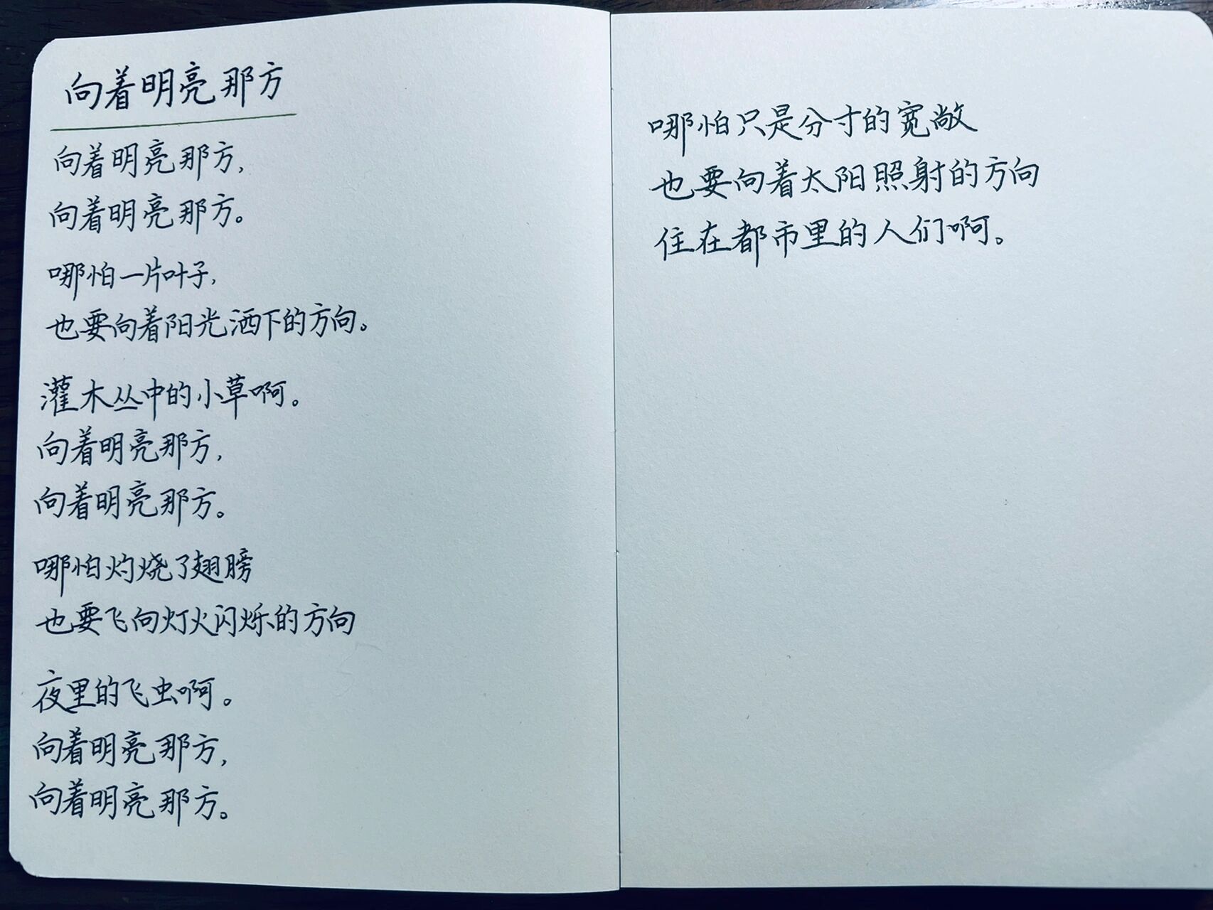 金子美玲的诗——《向着明亮那方》 金子美玲,日本天才女诗人,一生