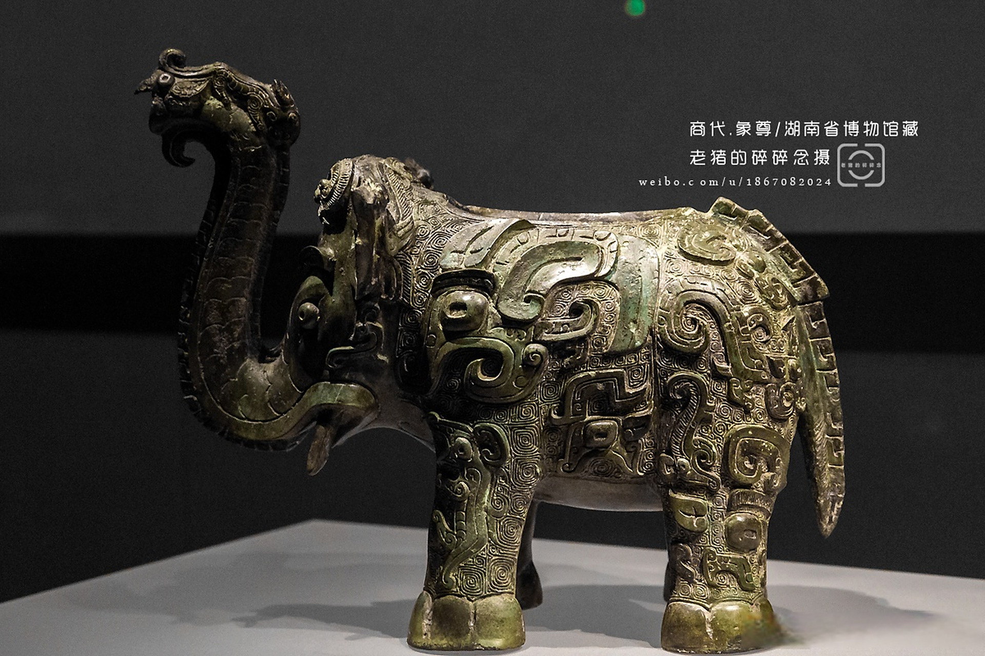 孤品|国内仅存的商代青铜象尊