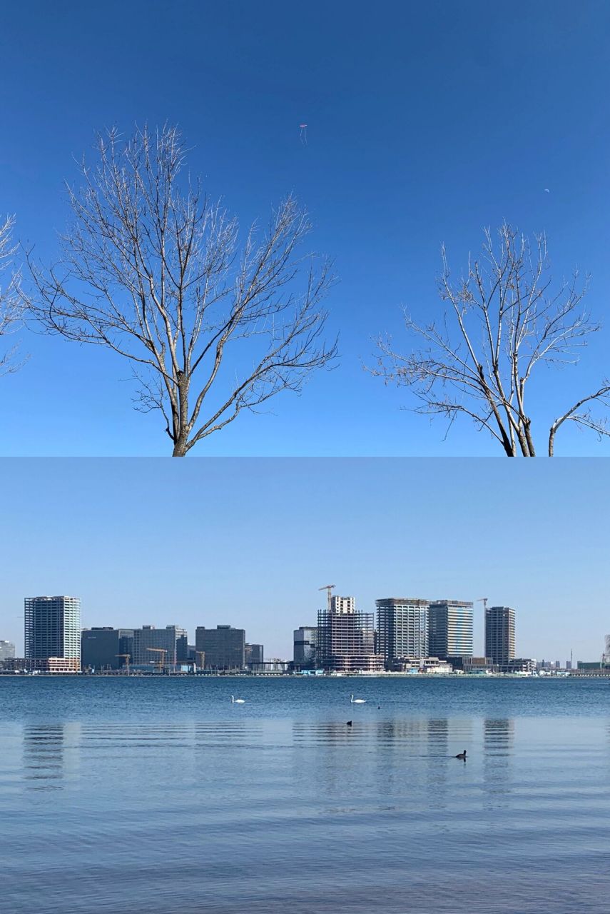 郑州的海·北龙湖湿地公园 龙湖公园是我们经常会去的一个公园,风景很