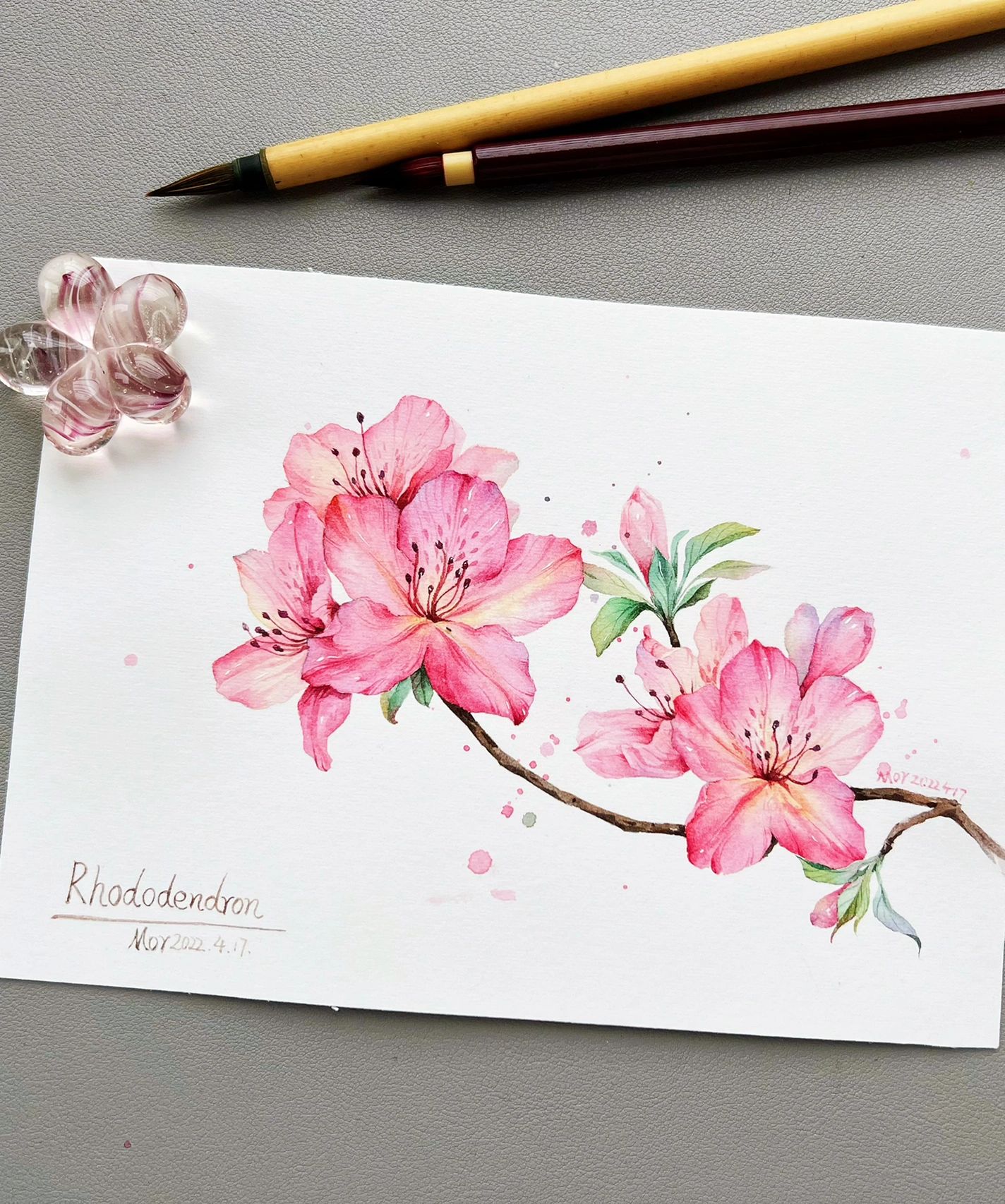 水彩杜鹃花|附步骤和线稿