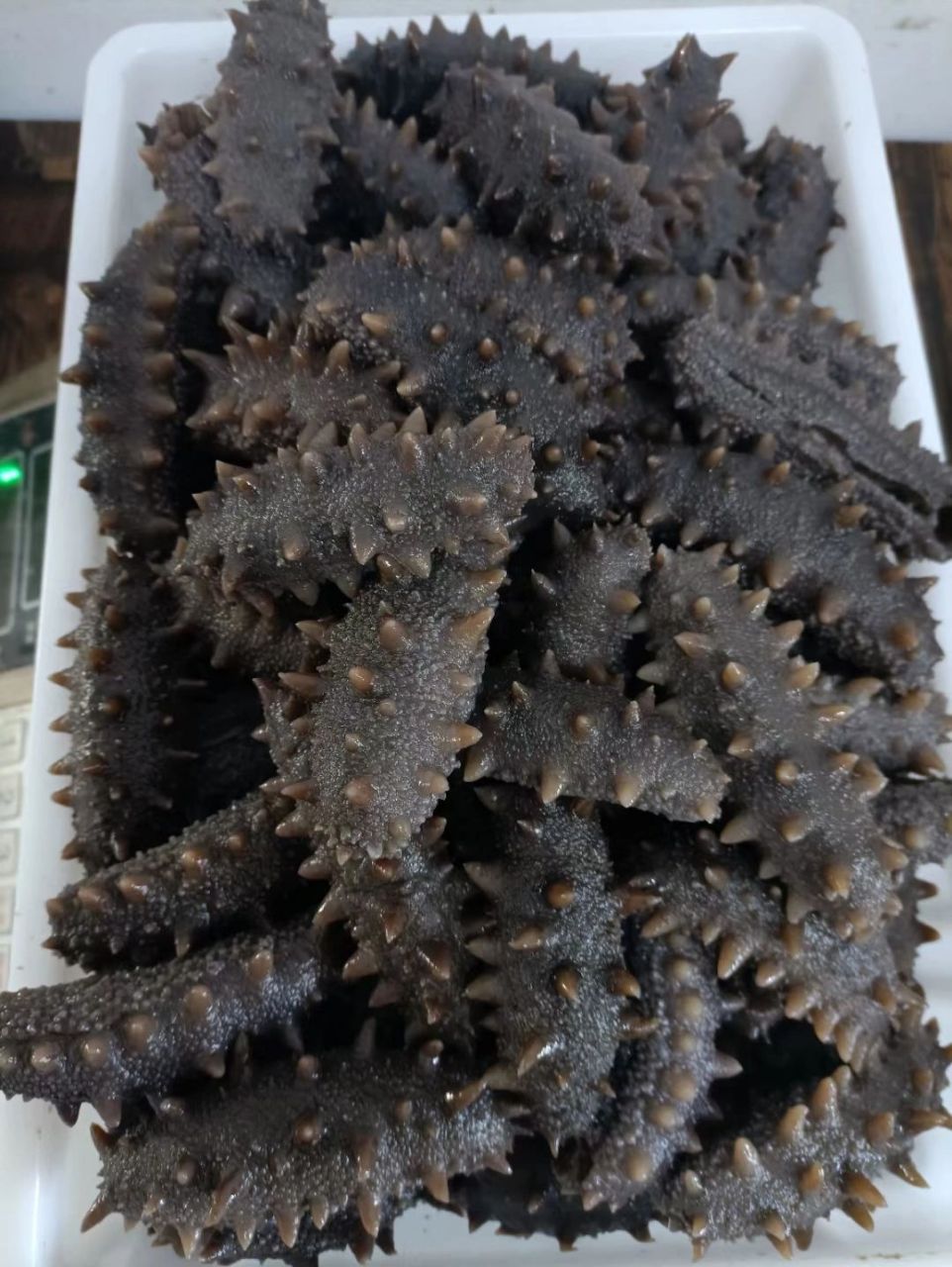 大家吃的海参都多钱一斤 这个半干海参750一斤,买2斤能吃3个月,春季补