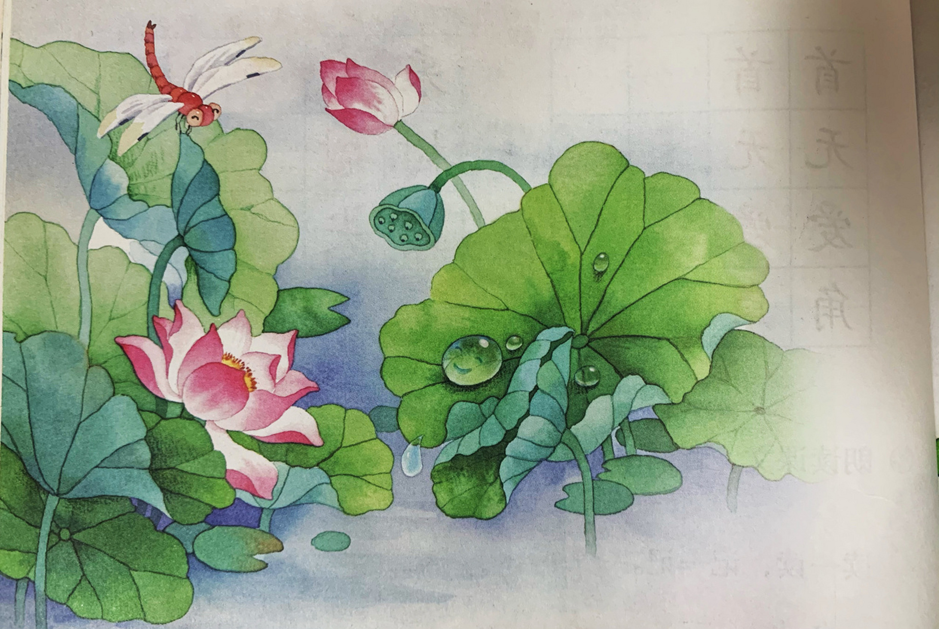 插图妙用|《荷叶圆圆》也可以变成看图写话 学完了《荷叶圆圆》发现小