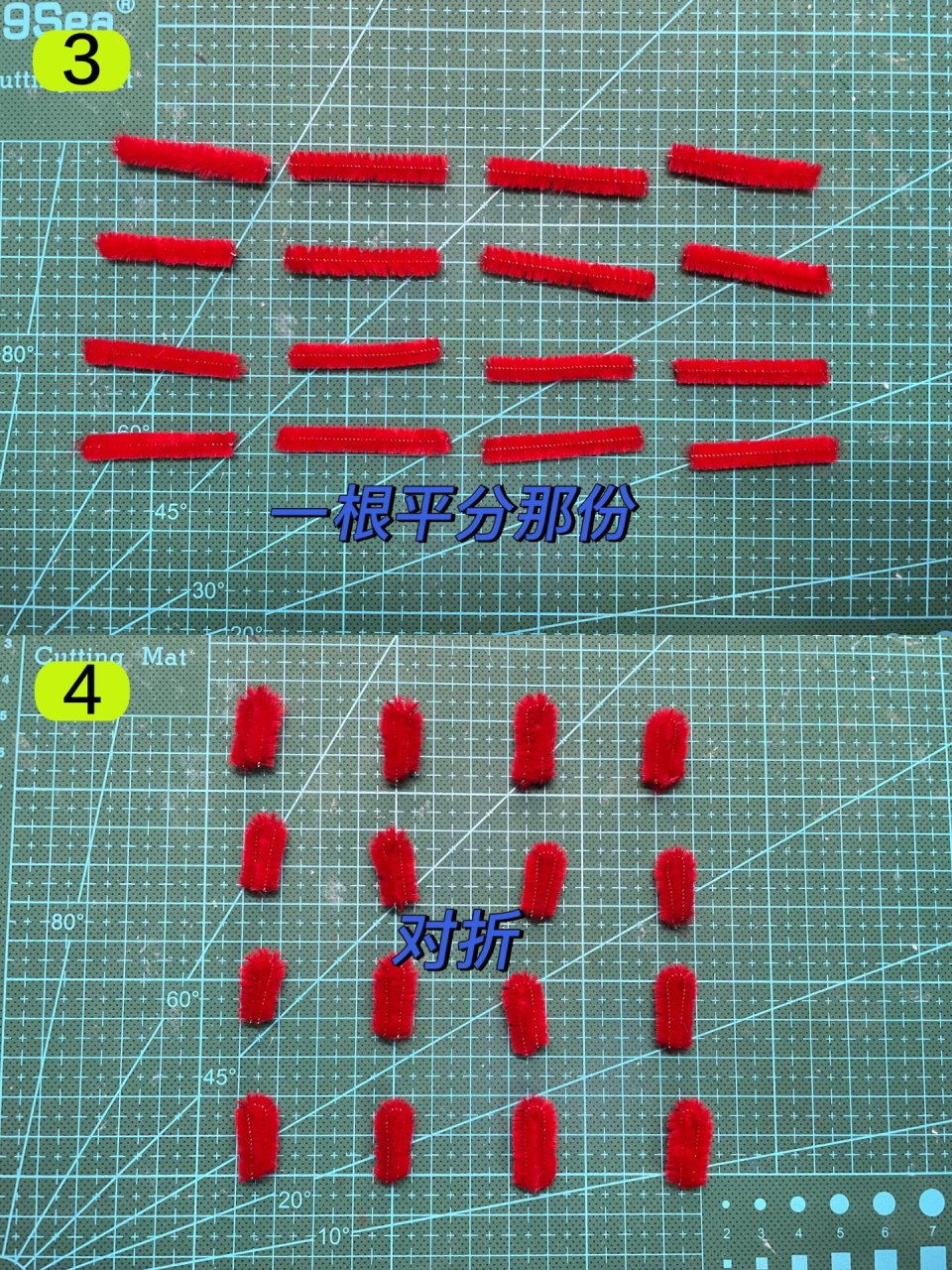 银柳染色教程图片