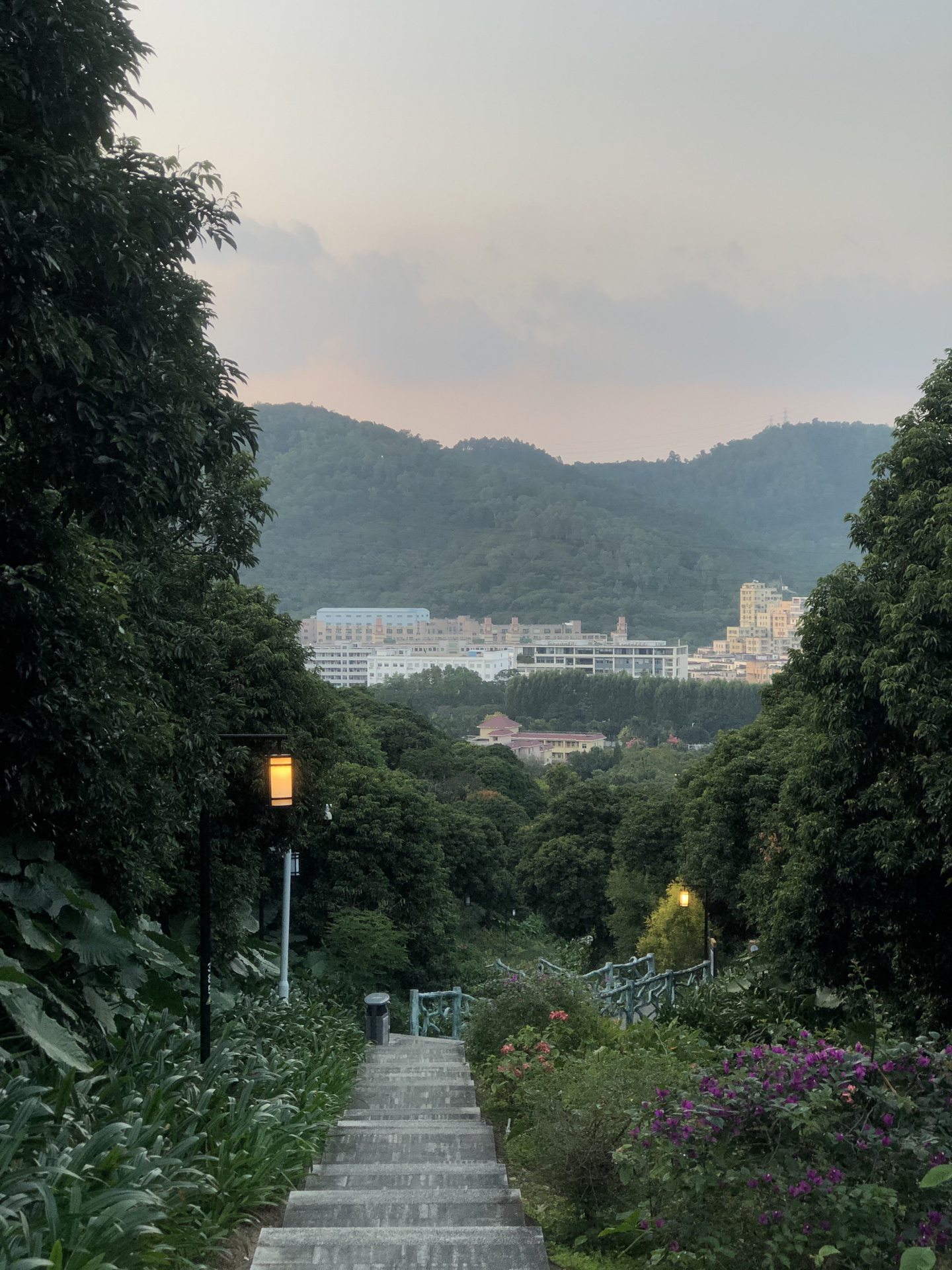 宝安西乡企龙山公园 休闲游