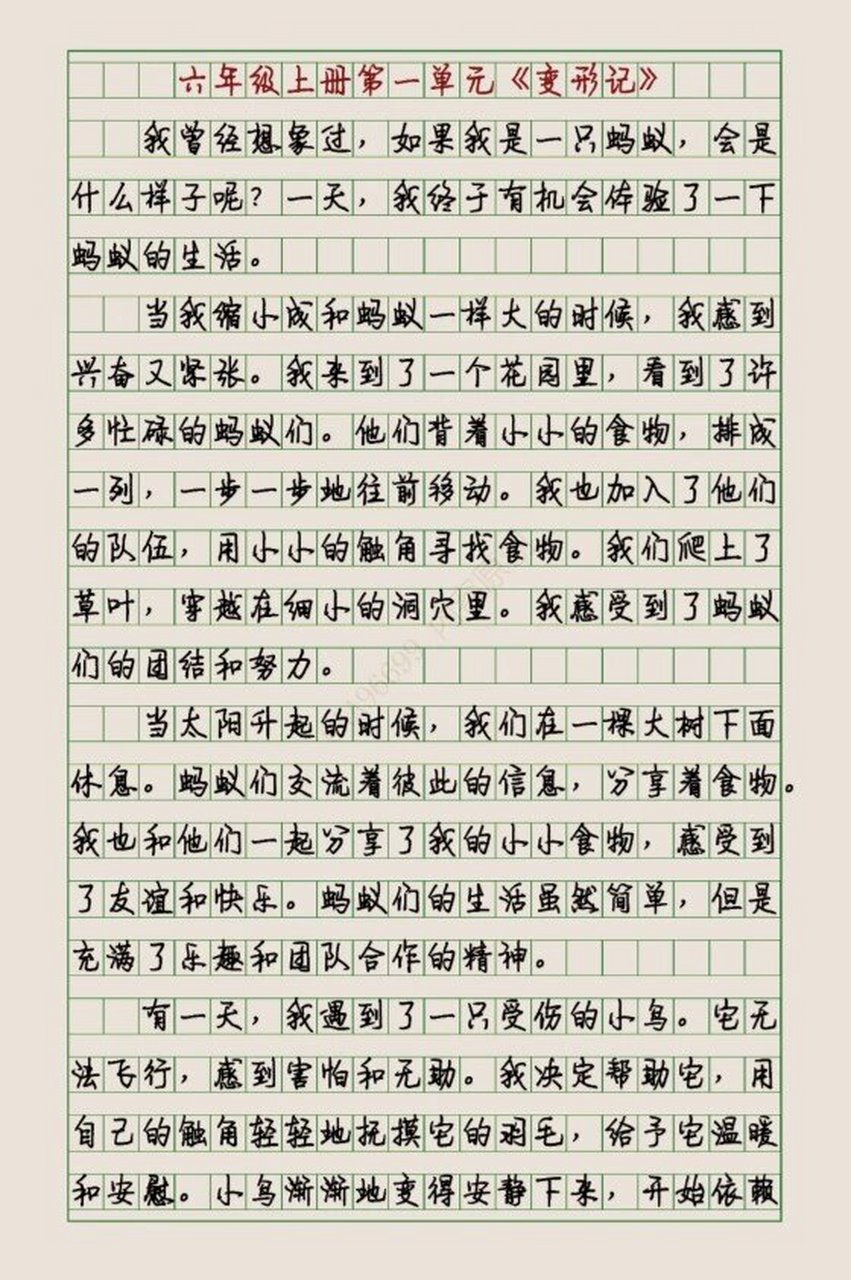 六年级作文变形记图片