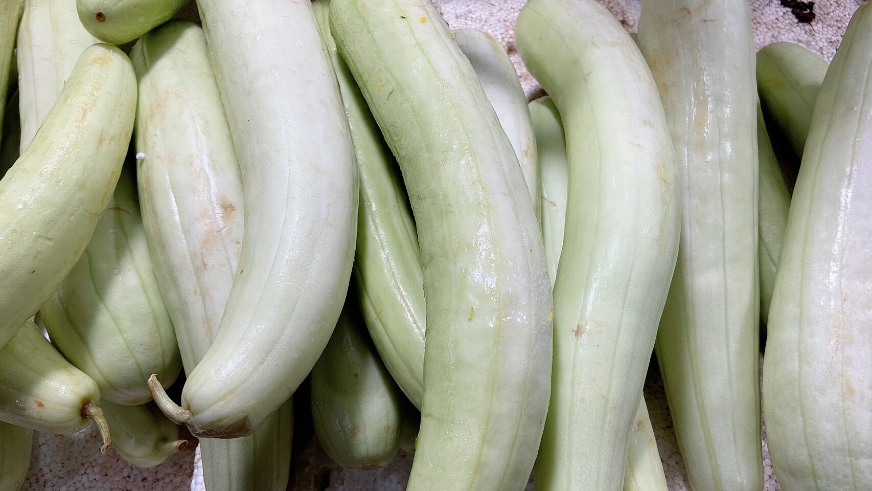 这是大家不知道的白瓜