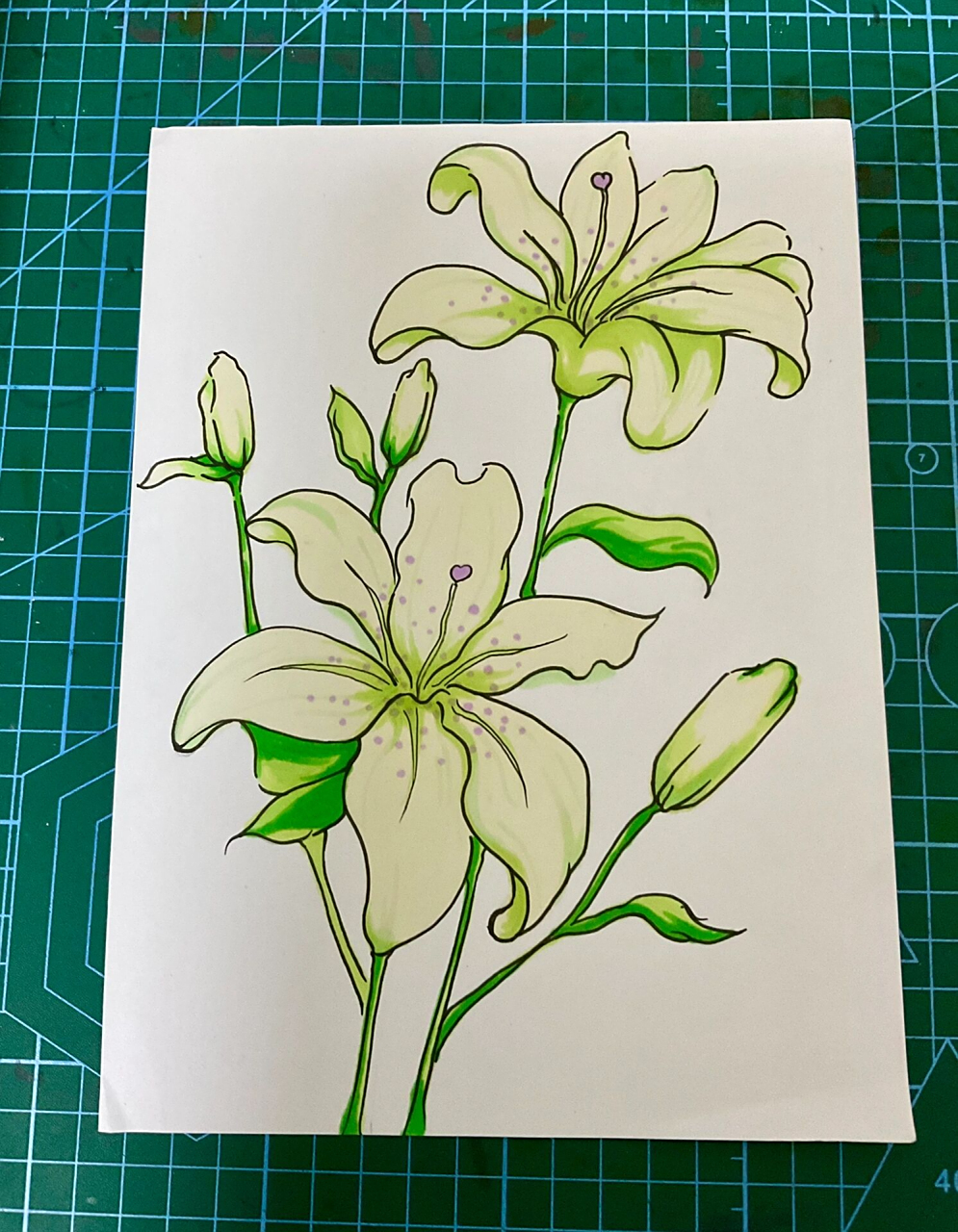 马克笔百合花教程 儿童画画花 马克笔绘画教程 儿童画绘画教学 1,认真