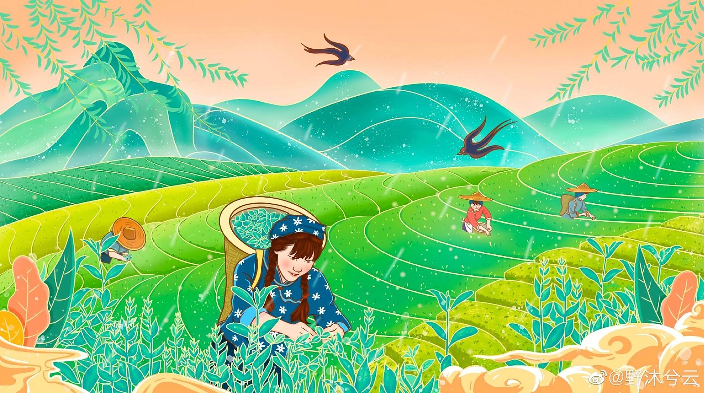 三月茶山采茶谷雨风景插画 商业插画过程节气-谷雨|细雨春茶 细雨别春